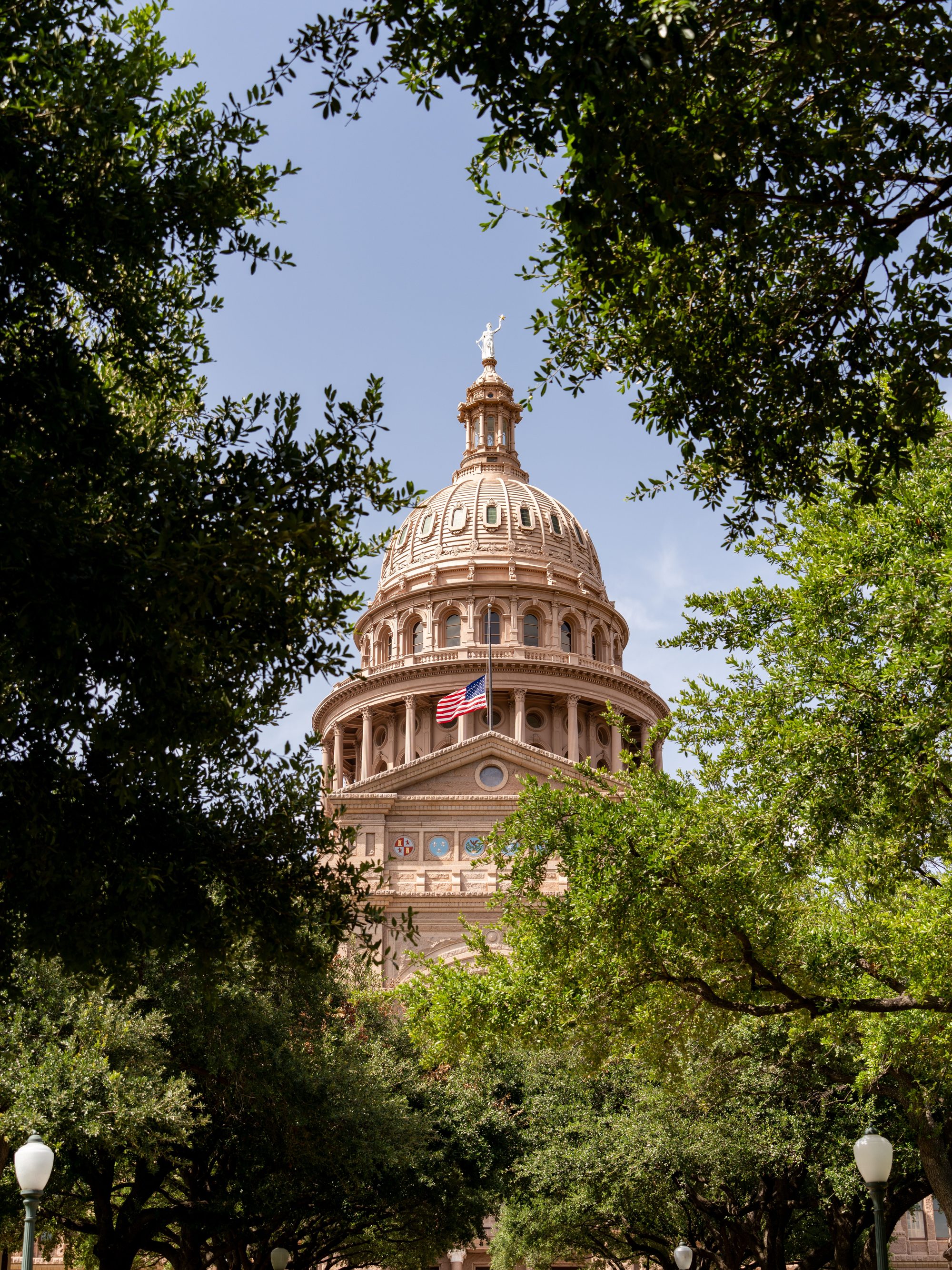 The dome of the Texas State Capitol framed by lush green trees under a clear blue sky.