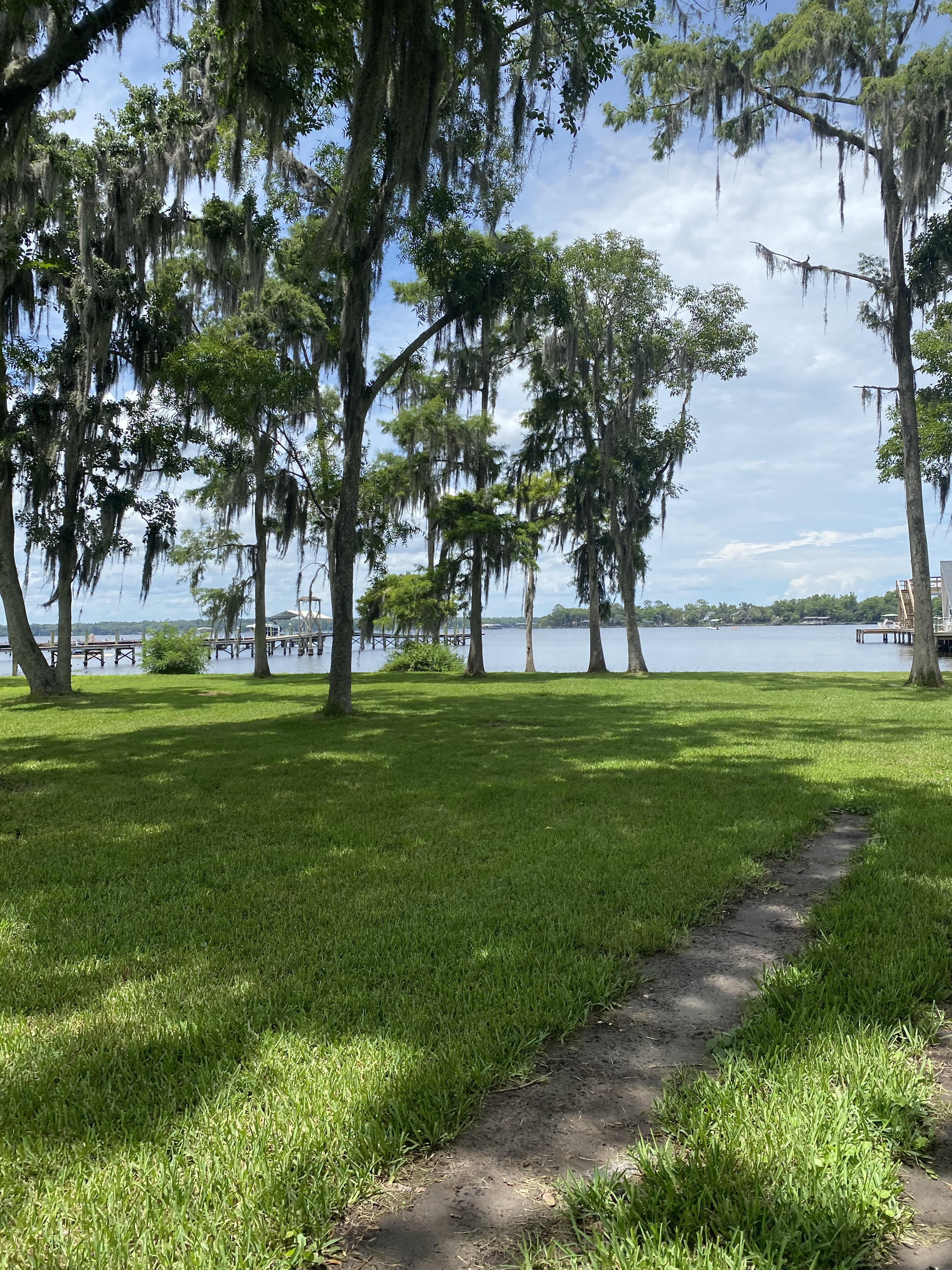 Grassy lakeside park with Spanish moss-draped trees, a paved path, and docks on calm water.