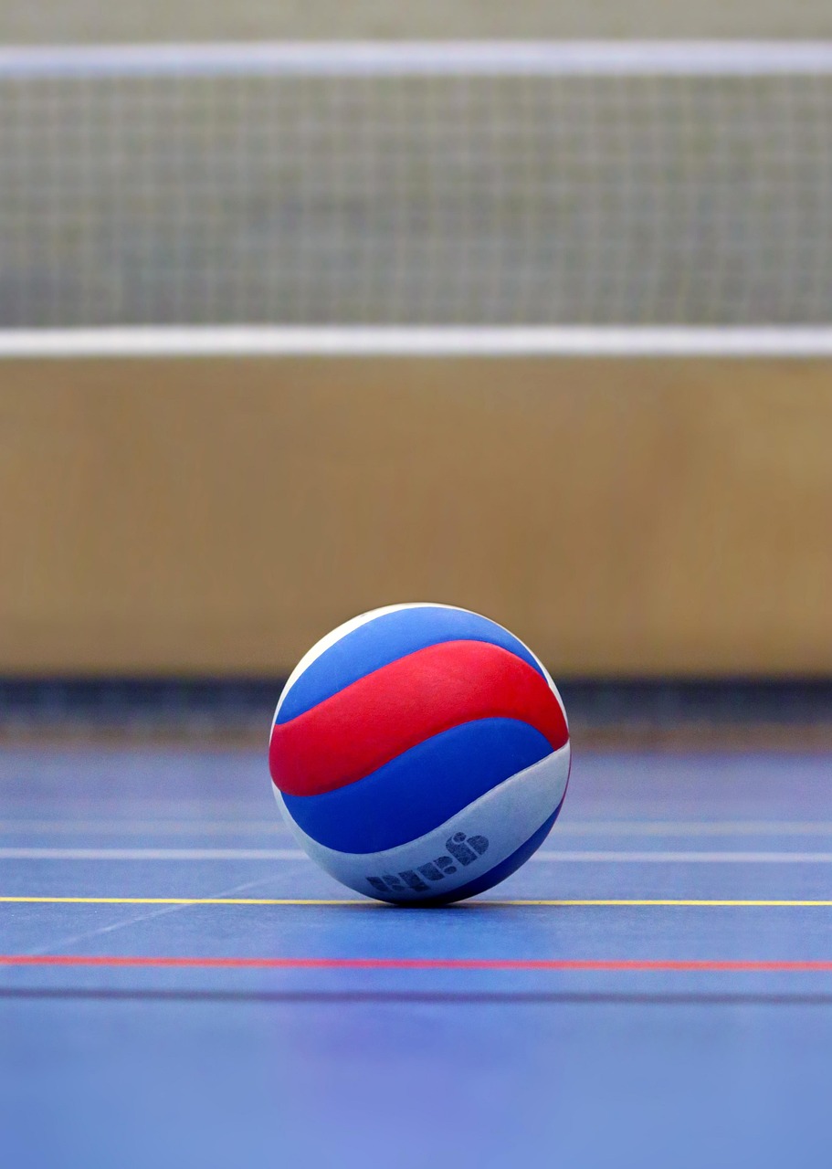 Volleyball, ball, volleyball field, sports, volley, ball sports, team sport, lines, playing field, competition, training