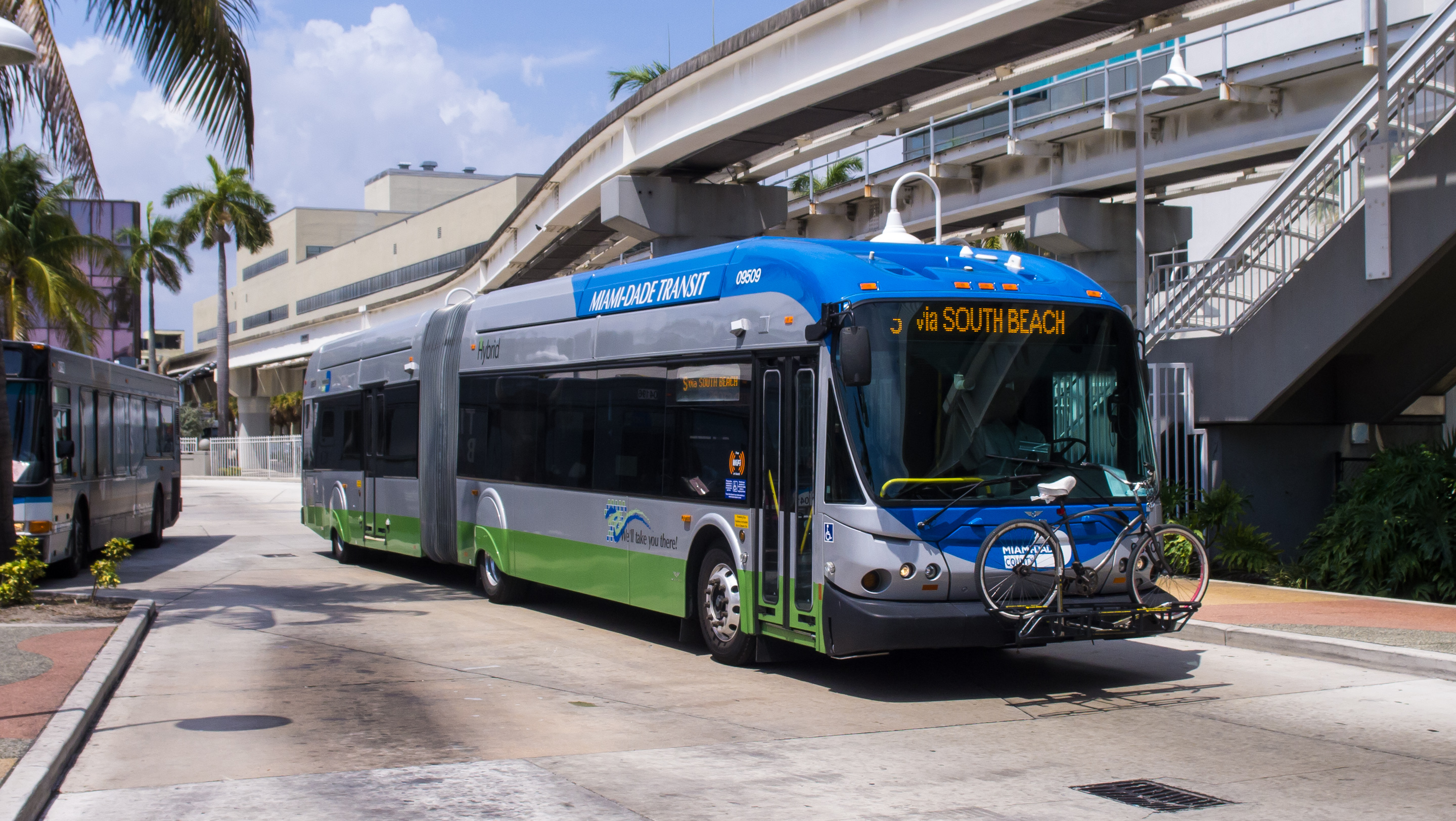 An articulated Miami-Dade Transit bus at a covered terminal with palm trees behind it.