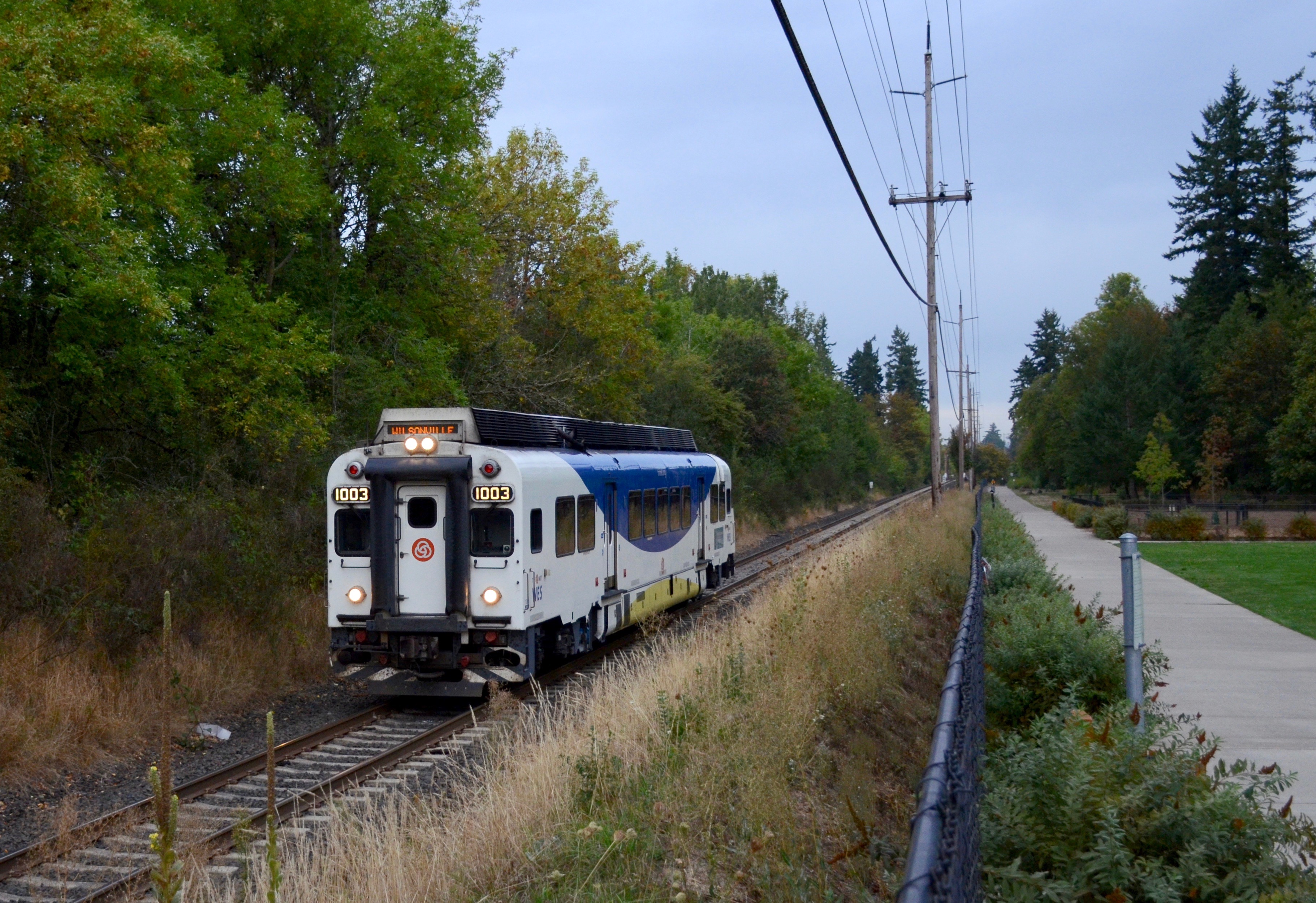 Commuter rail car on a single track beside a paved bike path through a tree-lined corridor.