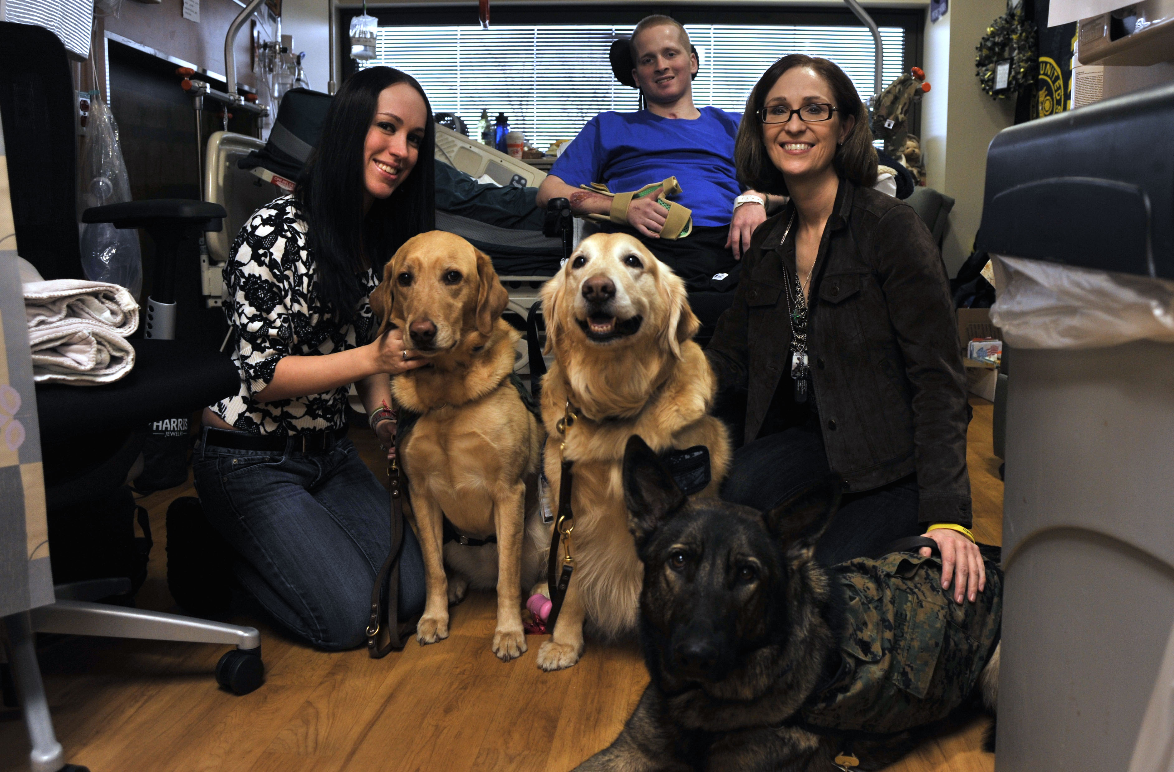 Three therapy dogs sit with people in an indoor room.