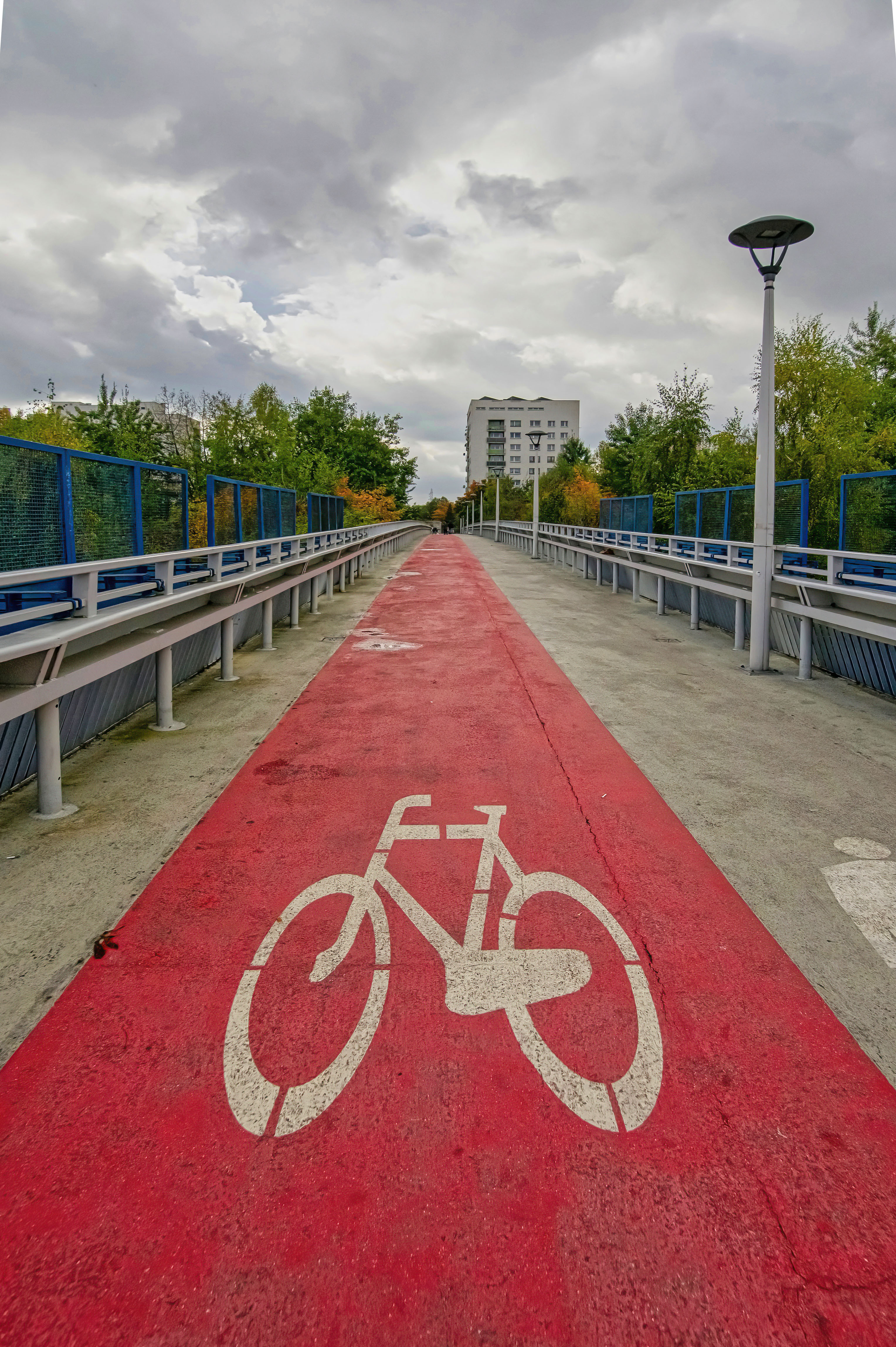 Red-painted bike lane with white bicycle symbol on a shared pedestrian and cycling path.
