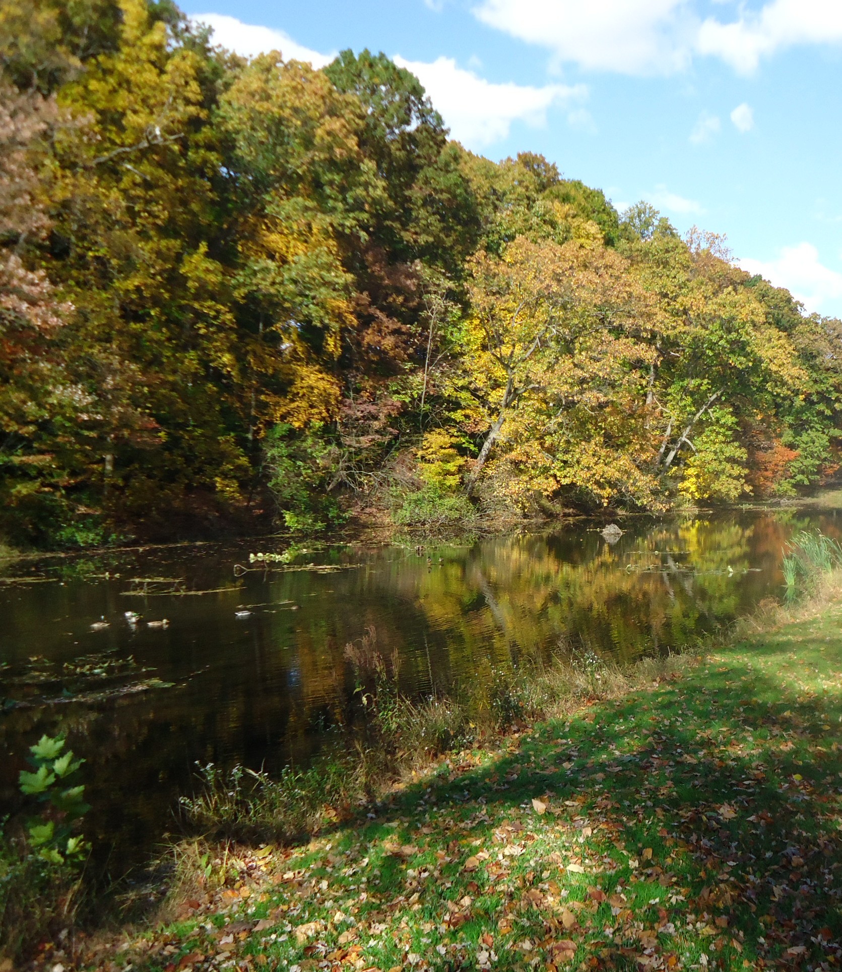 Calm lake surrounded by autumn-colored trees reflected in still water.