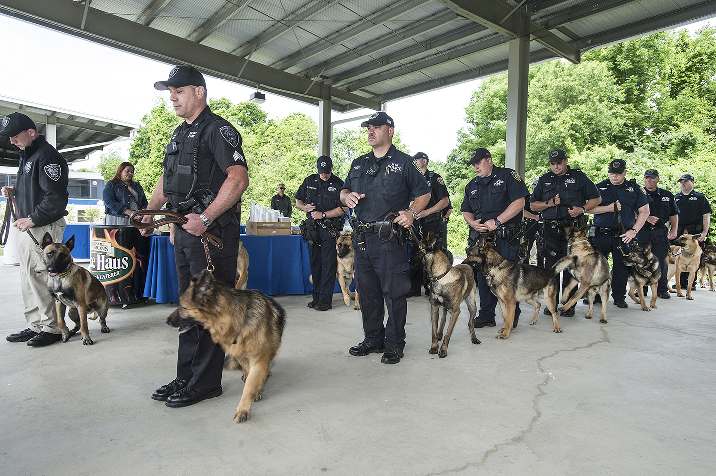 Uniformed police officers standing with Belgian Malinois K-9 dogs under an outdoor pavilion.