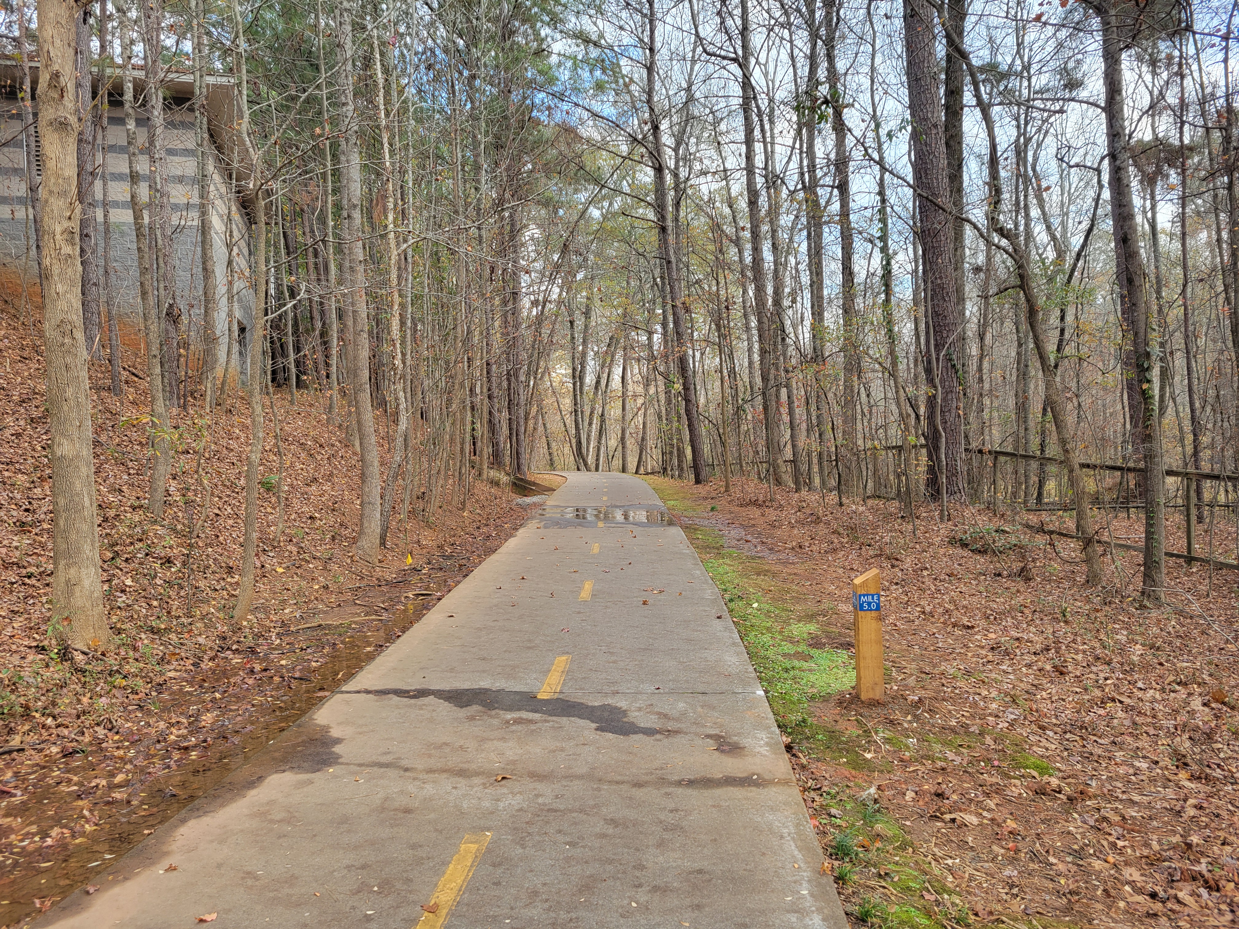 A paved trail curves through bare winter trees in a wooded park.