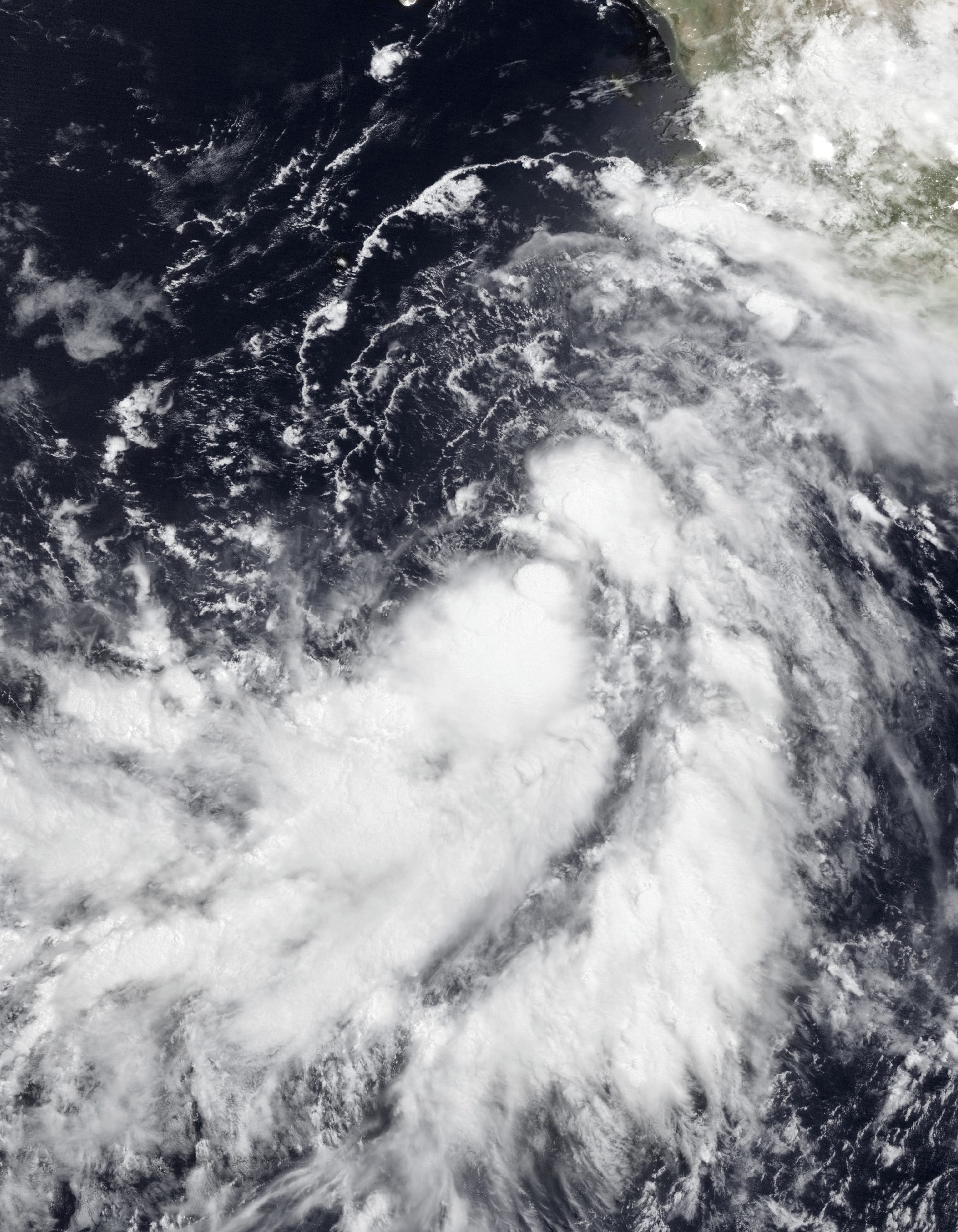 Tropical Storm Marie at naming on September 1, 2026. This was taken using the VIIRS imaging instrument onboard the NOAA-20 polar orbiting satellite, the original image was taken in grayscale but was superimposed using NASA’s Blue Marble (2002) image through a digital editing software to give a “true-color” effect and make storm structure features easier to see and identify.