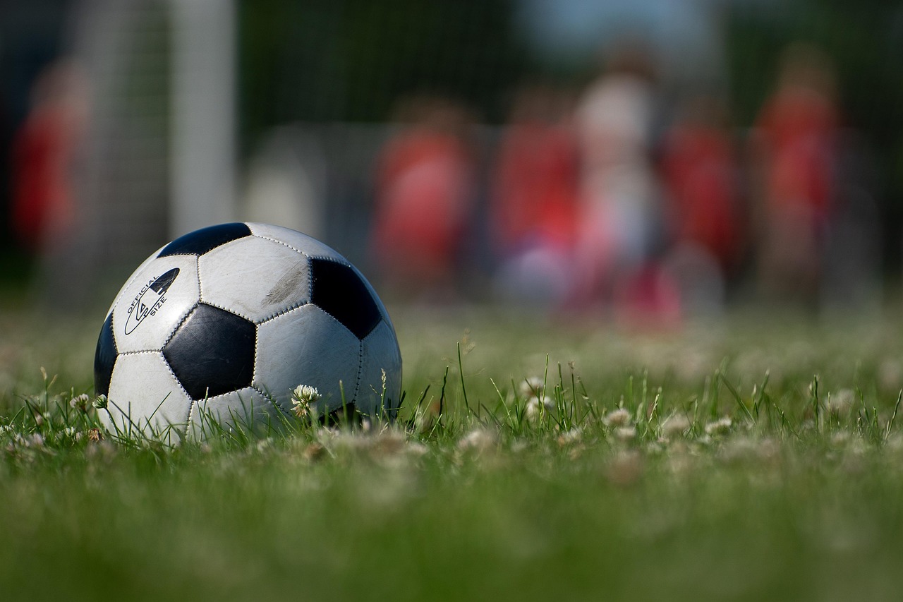 Soccer, ball, sport, field, grass, athlete, nature, goal, net, soccer ball