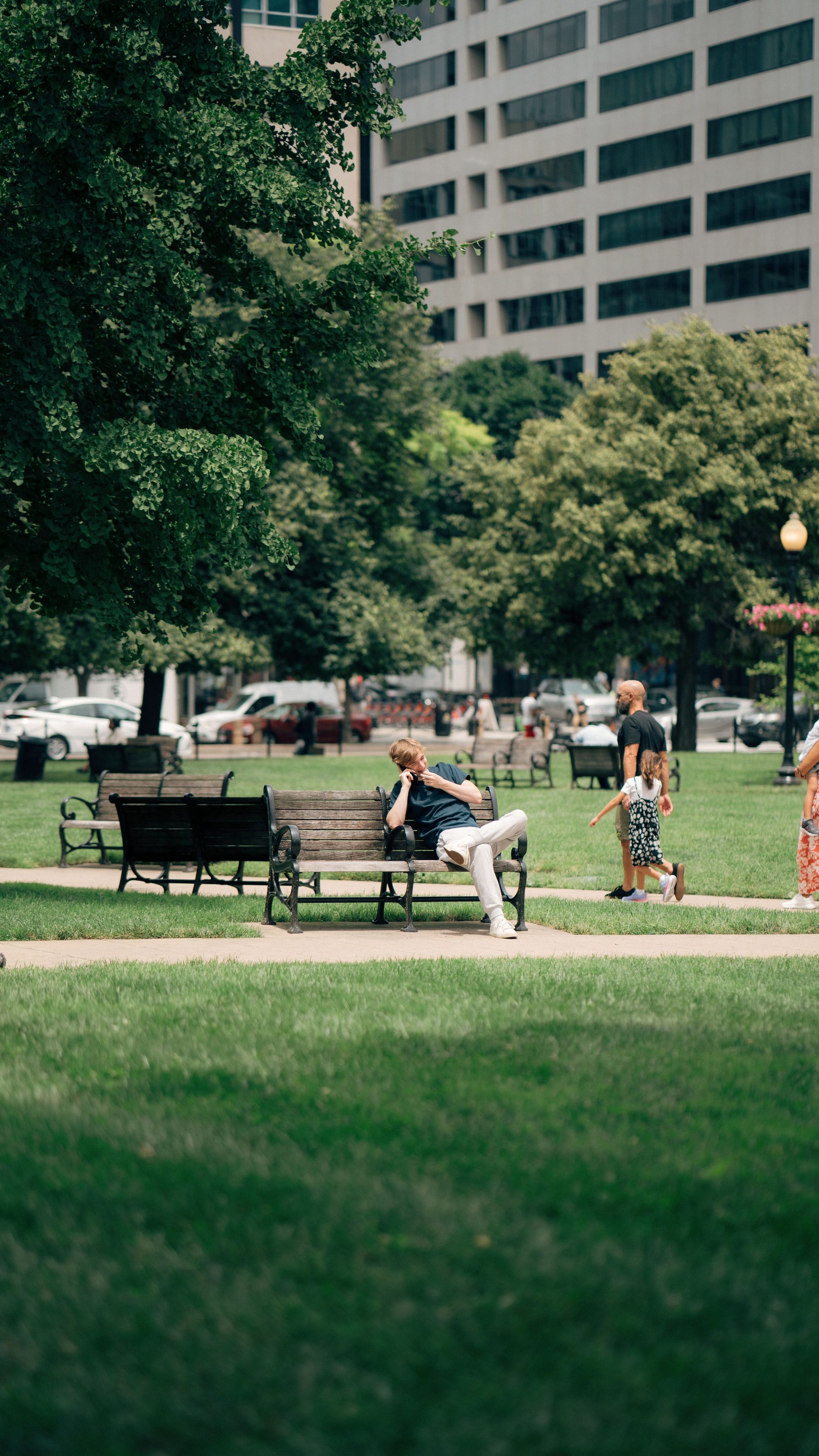 People relaxing and walking in a green urban park surrounded by trees.