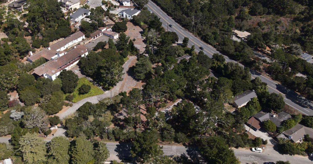 Aerial view of a tree-covered hillside neighborhood with scattered houses and winding driveways.