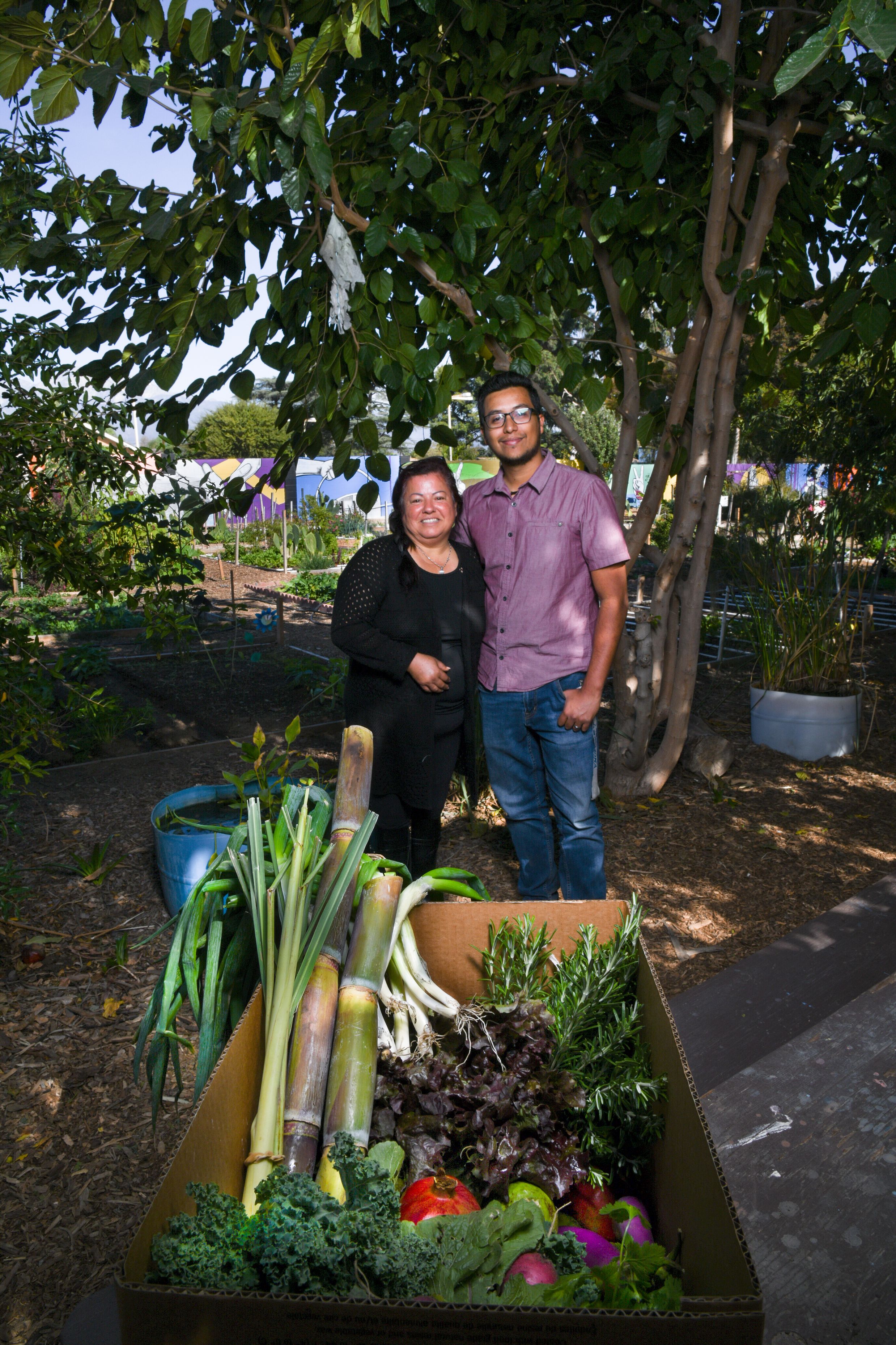 Two people hold a cardboard box overflowing with fresh vegetables outdoors.