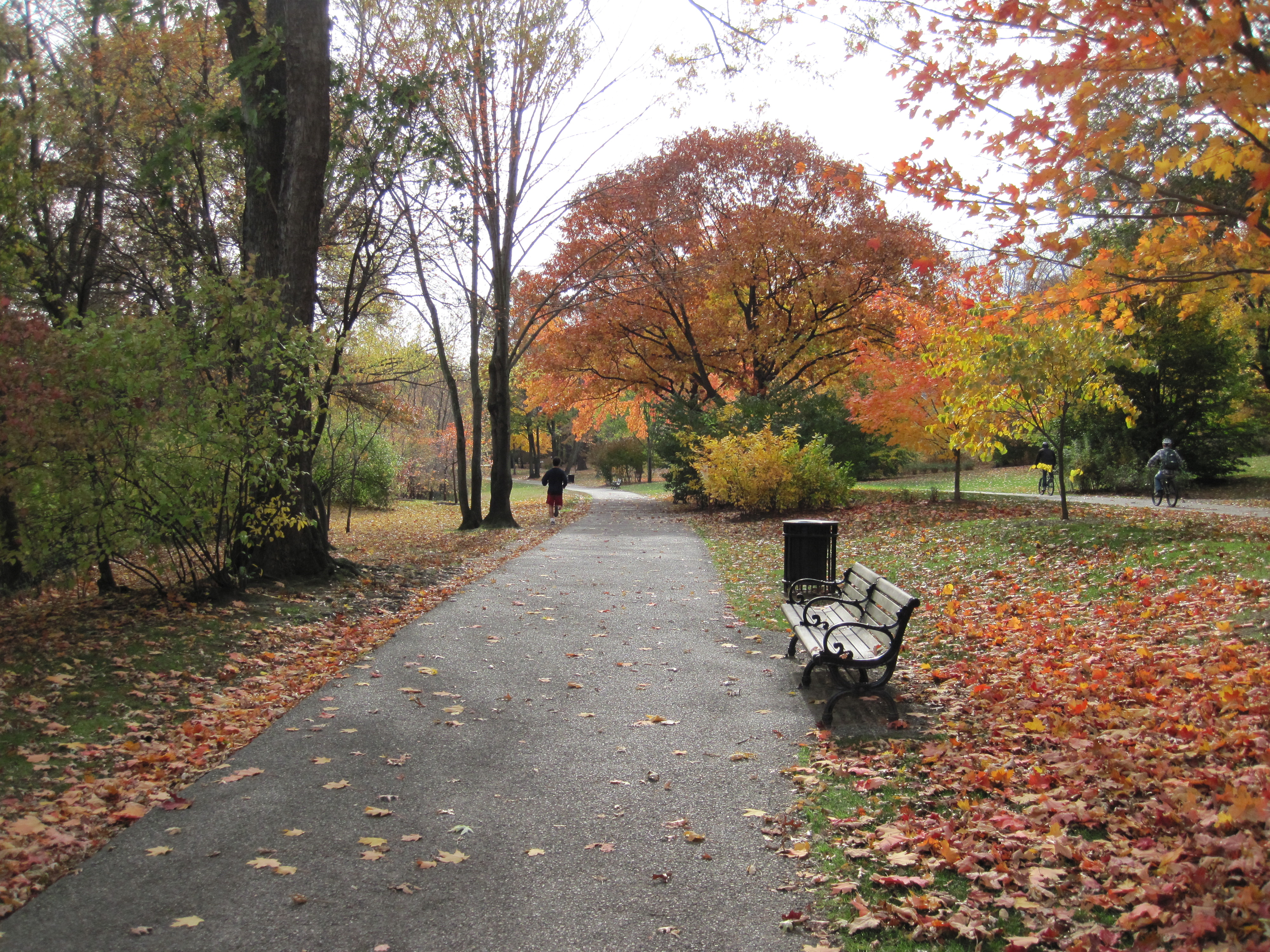 Paved park path lined with autumn foliage, a bench, and distant walkers.
