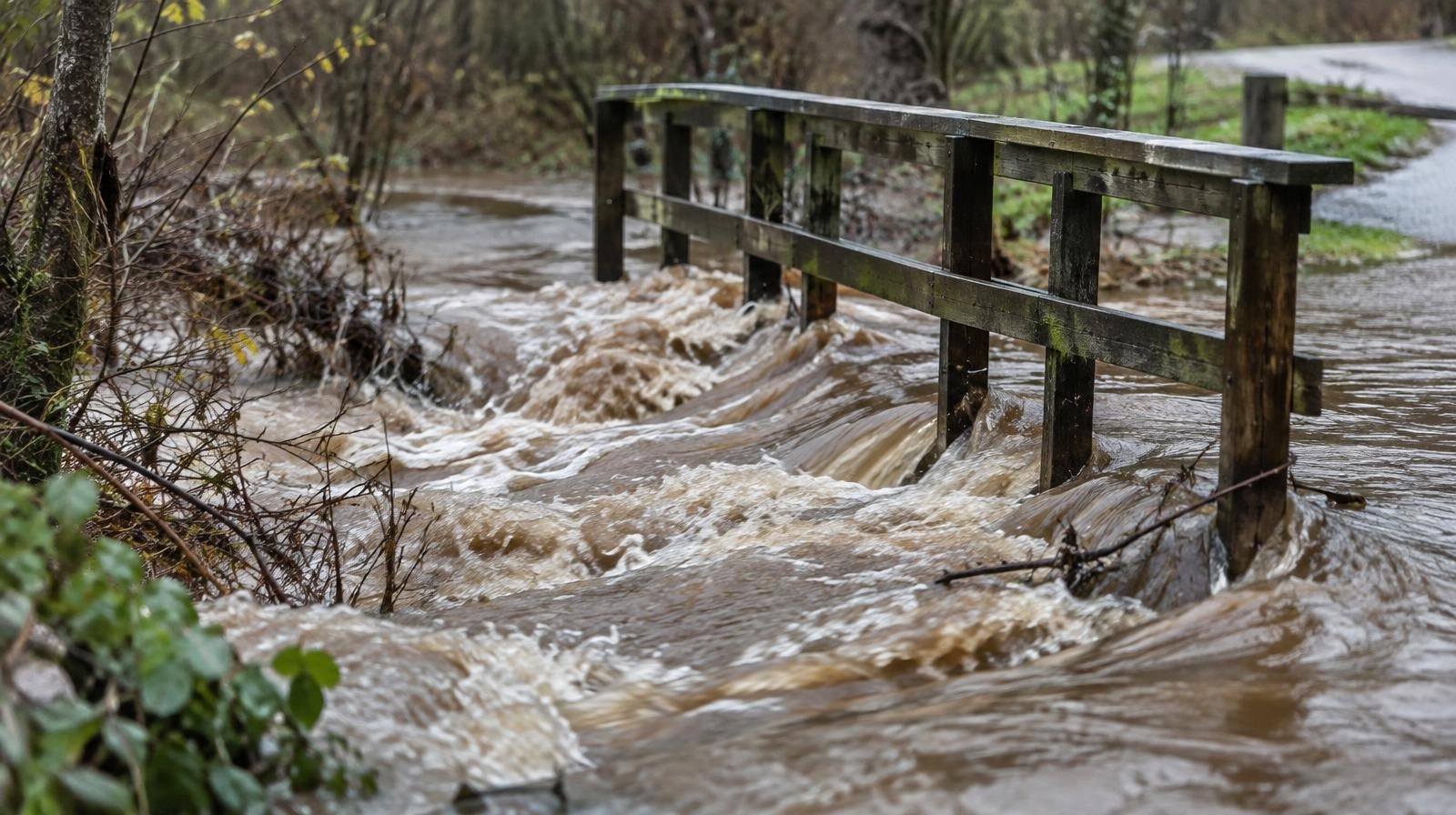 Muddy brown water rushes over a low footbridge and spreads into surrounding vegetation.