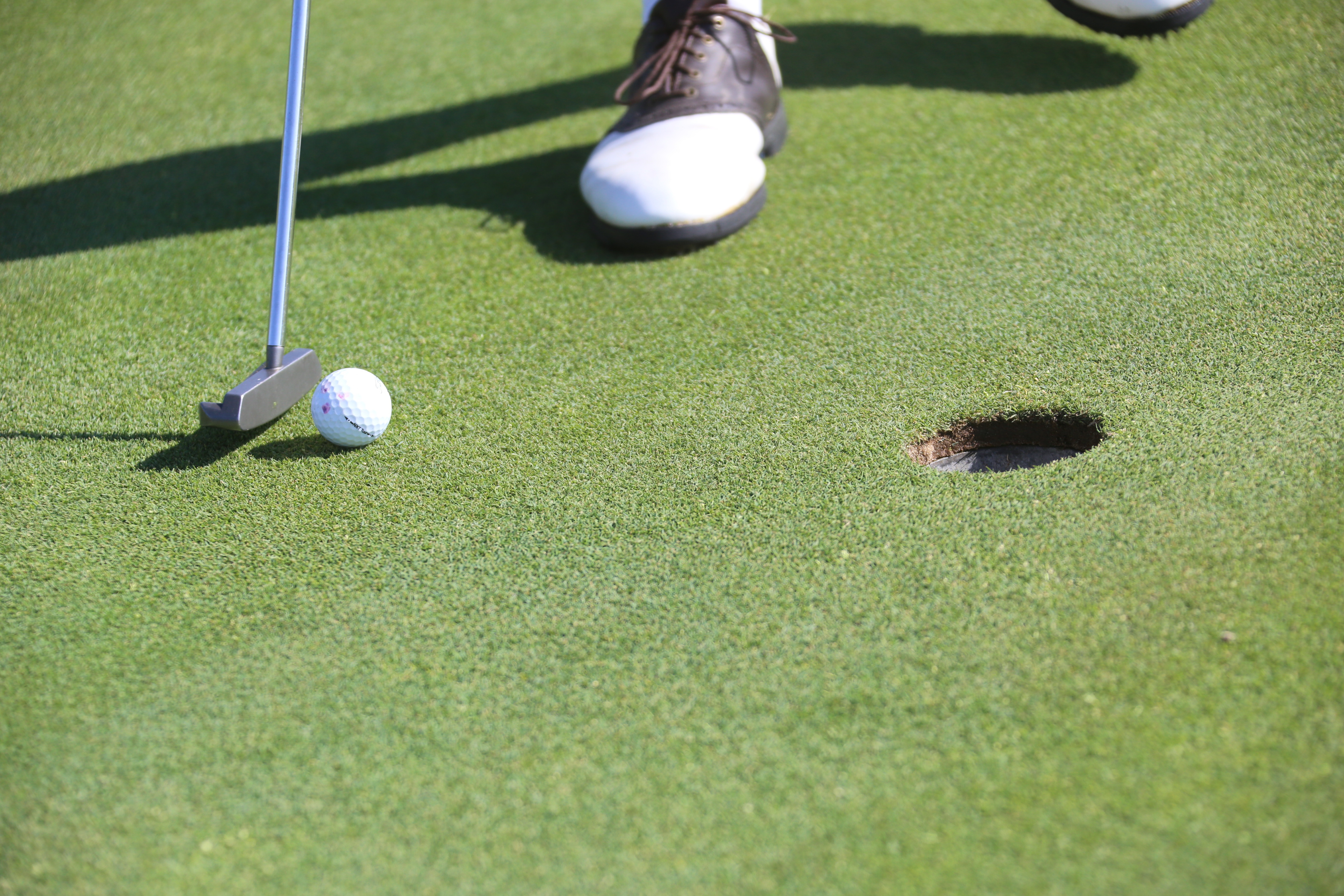 Close-up of a putter positioned near a golf ball on a putting green.