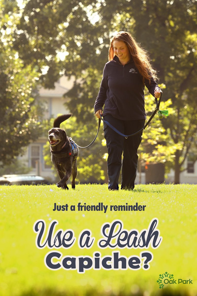 Graphic showing a woman walking a dog on a leash with text reading 'Use a Leash Capiche?'