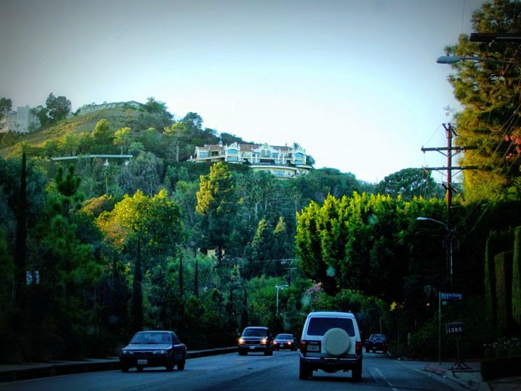 A hillside residential street lined with trees and homes in Beverly Hills.