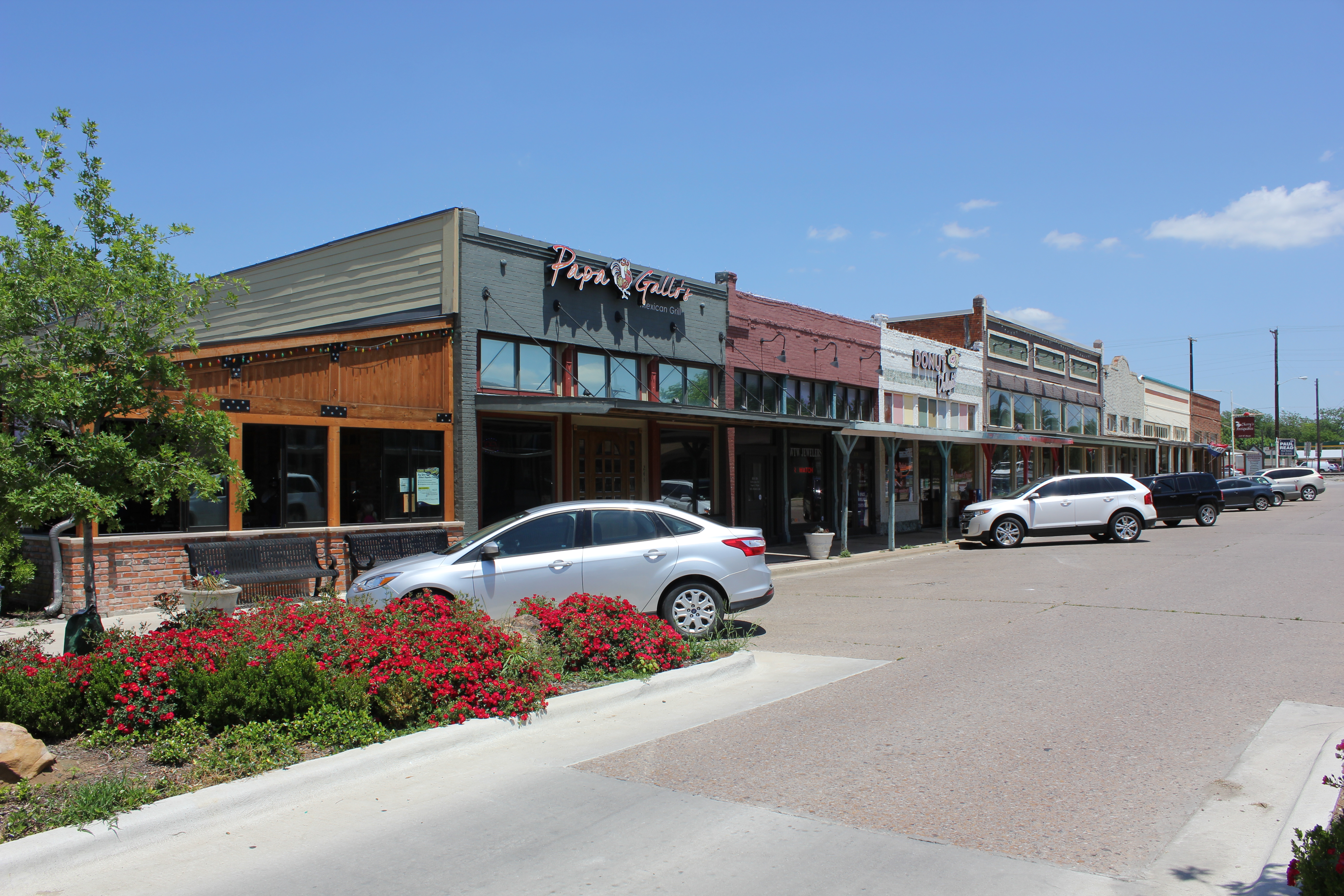 Storefronts, parked cars, and red flowering plants along a small-town main street.
