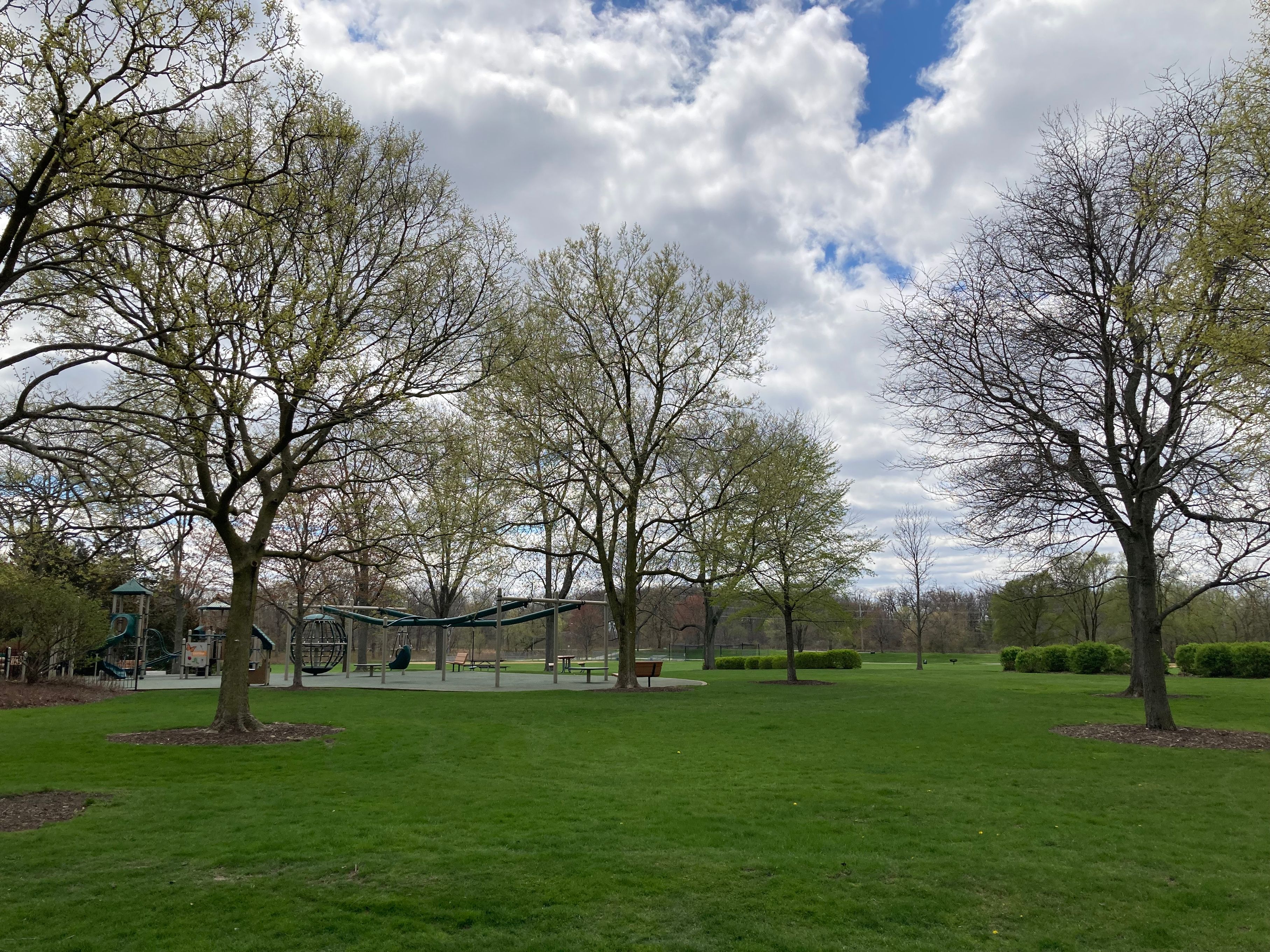 Open grassy park with mature trees and a playground structure in the background.