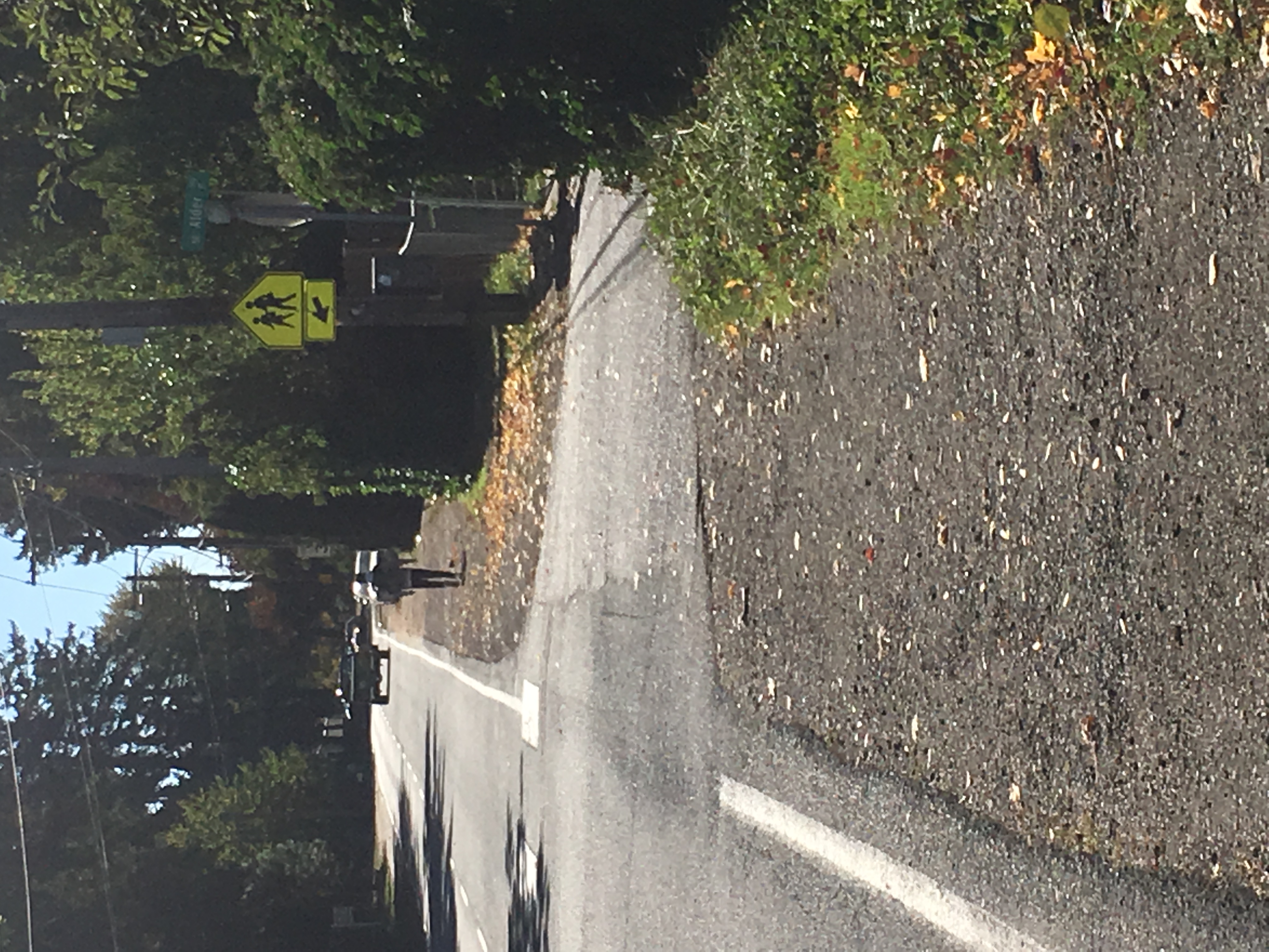 Person walking along the edge of a road with no sidewalk, yellow pedestrian crossing sign visible.