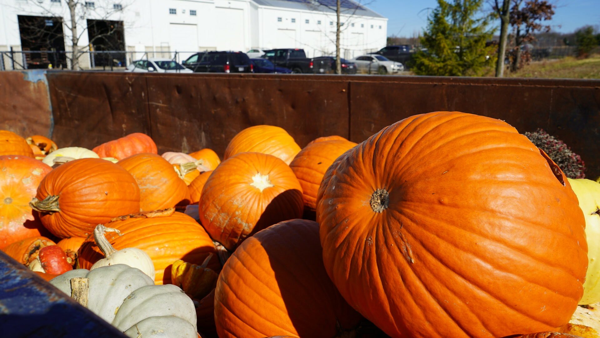 A large metal bin overflowing with orange pumpkins and colorful gourds outdoors.