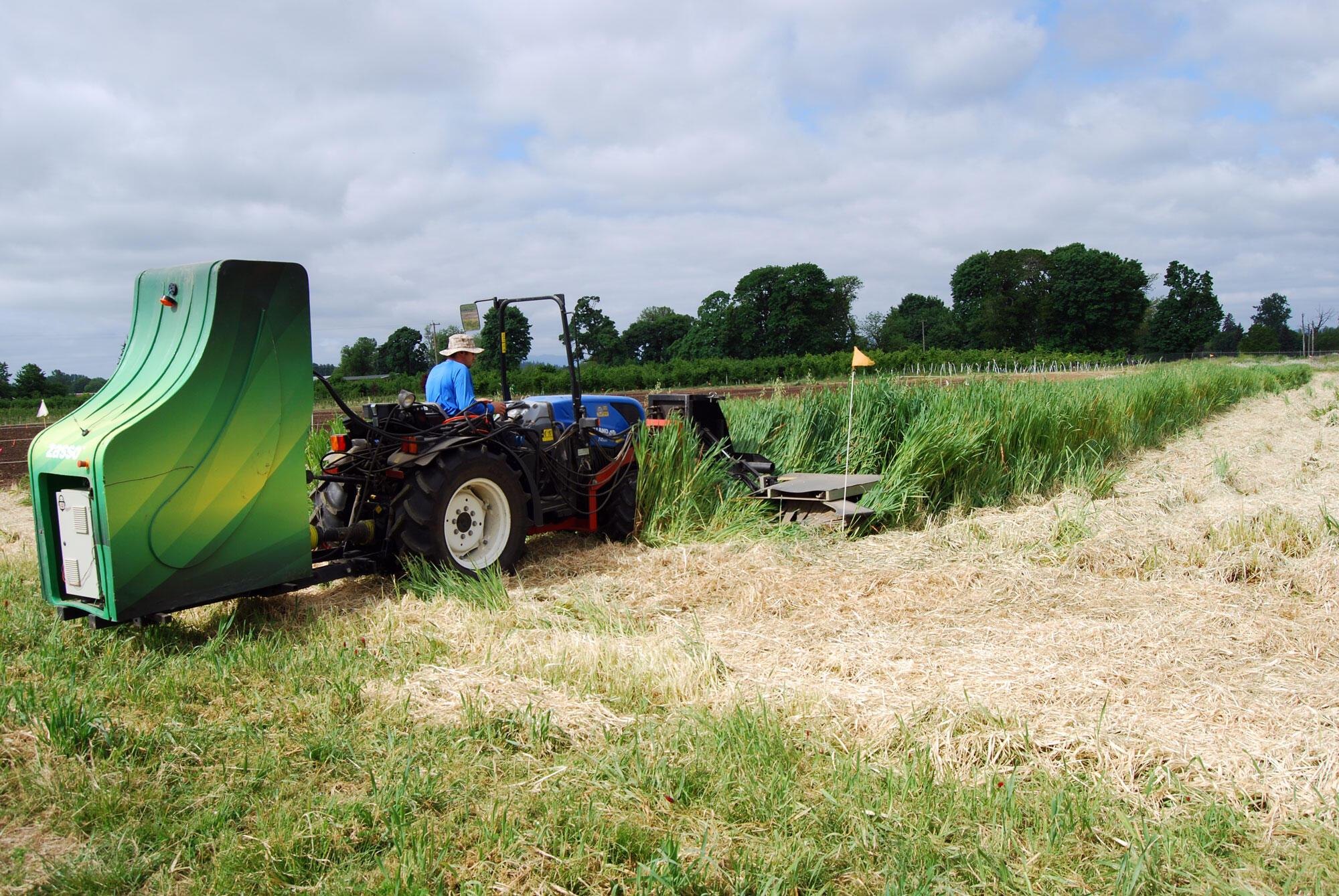 Tractor with large green curved attachment moving through a field of tall green vegetation alongside cut straw.