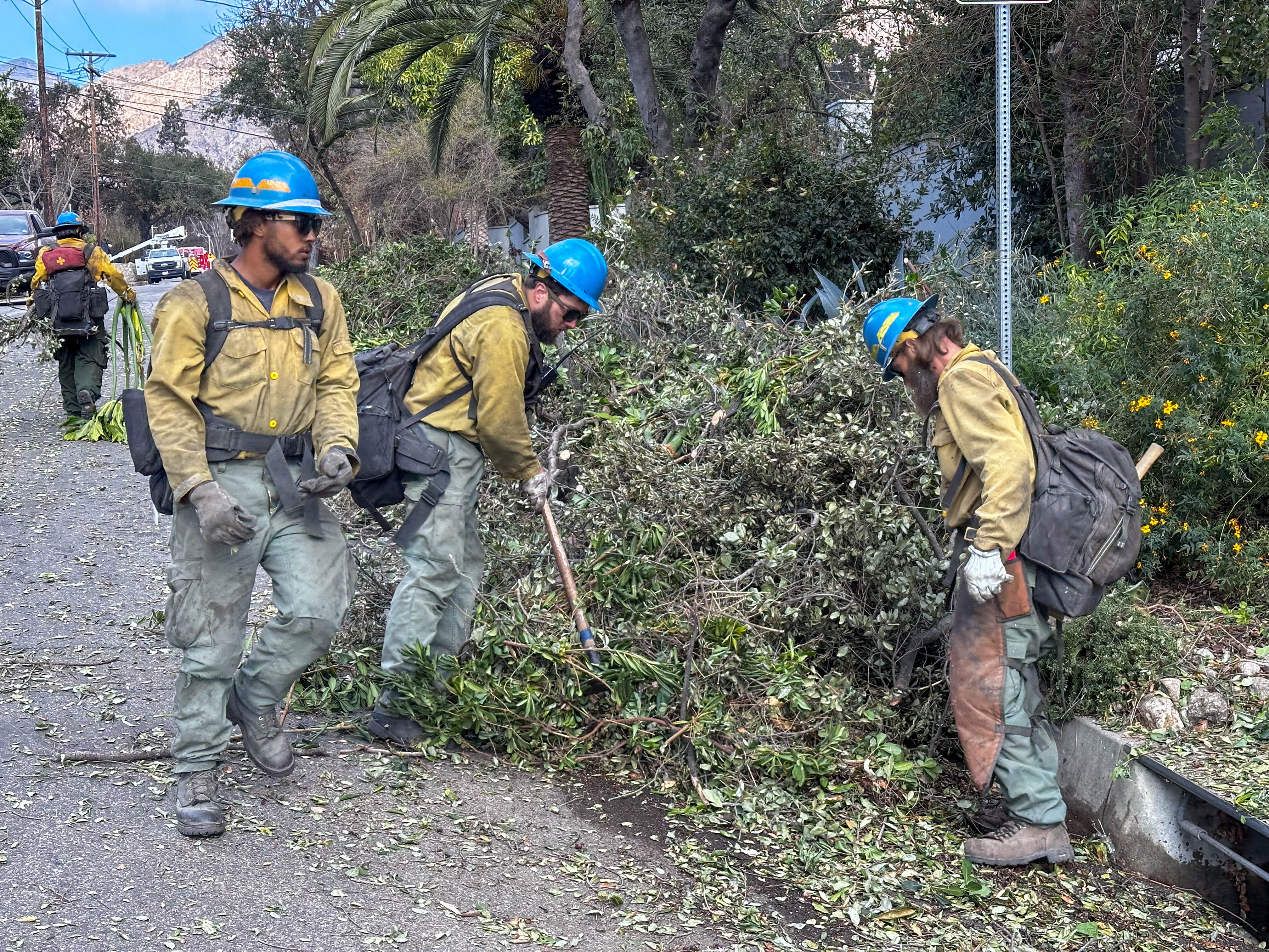 Workers in hard hats and yellow gear clear brush and debris on a residential street.