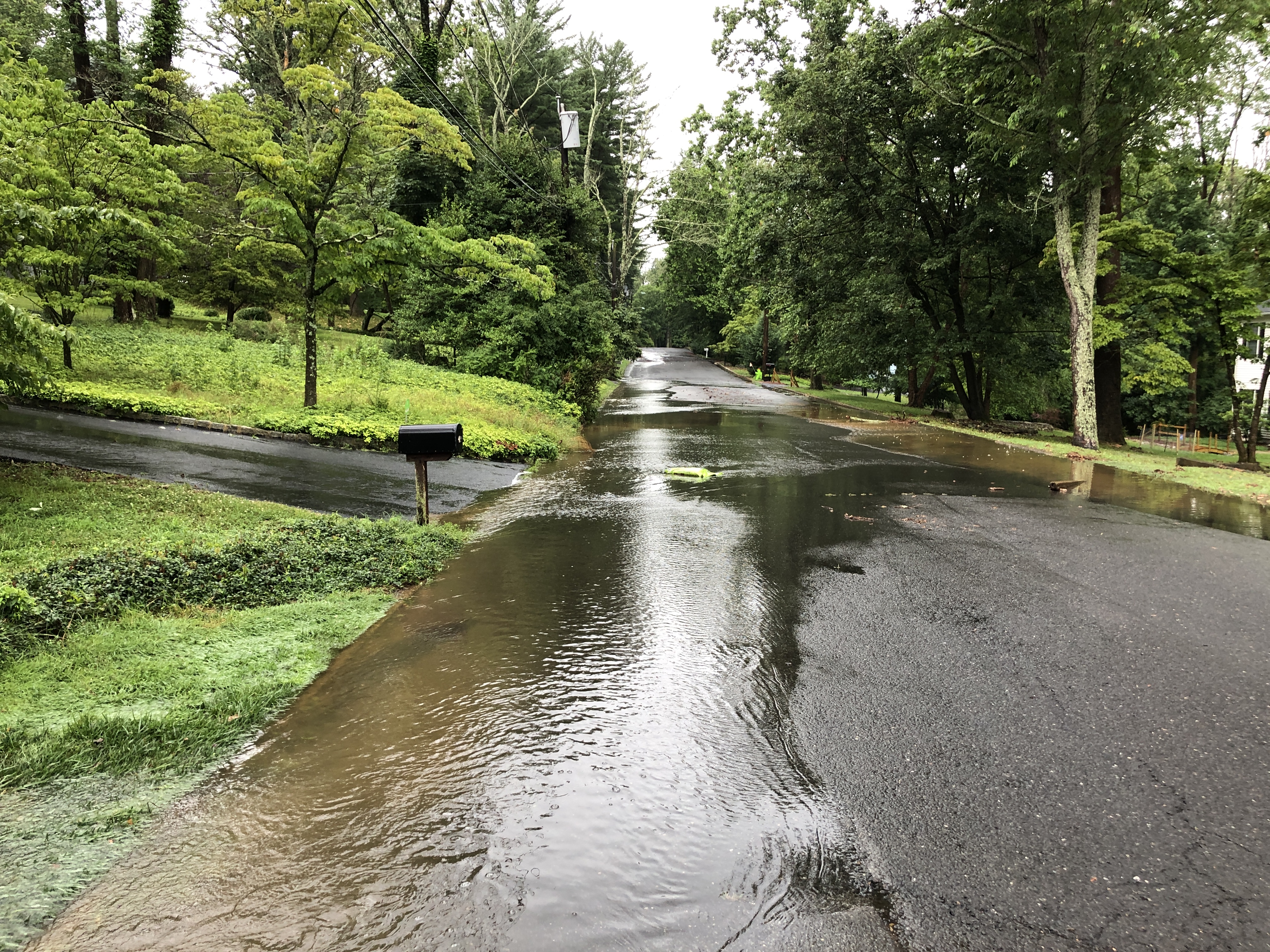 Floodwaters flow across a tree-lined residential road under an overcast sky.
