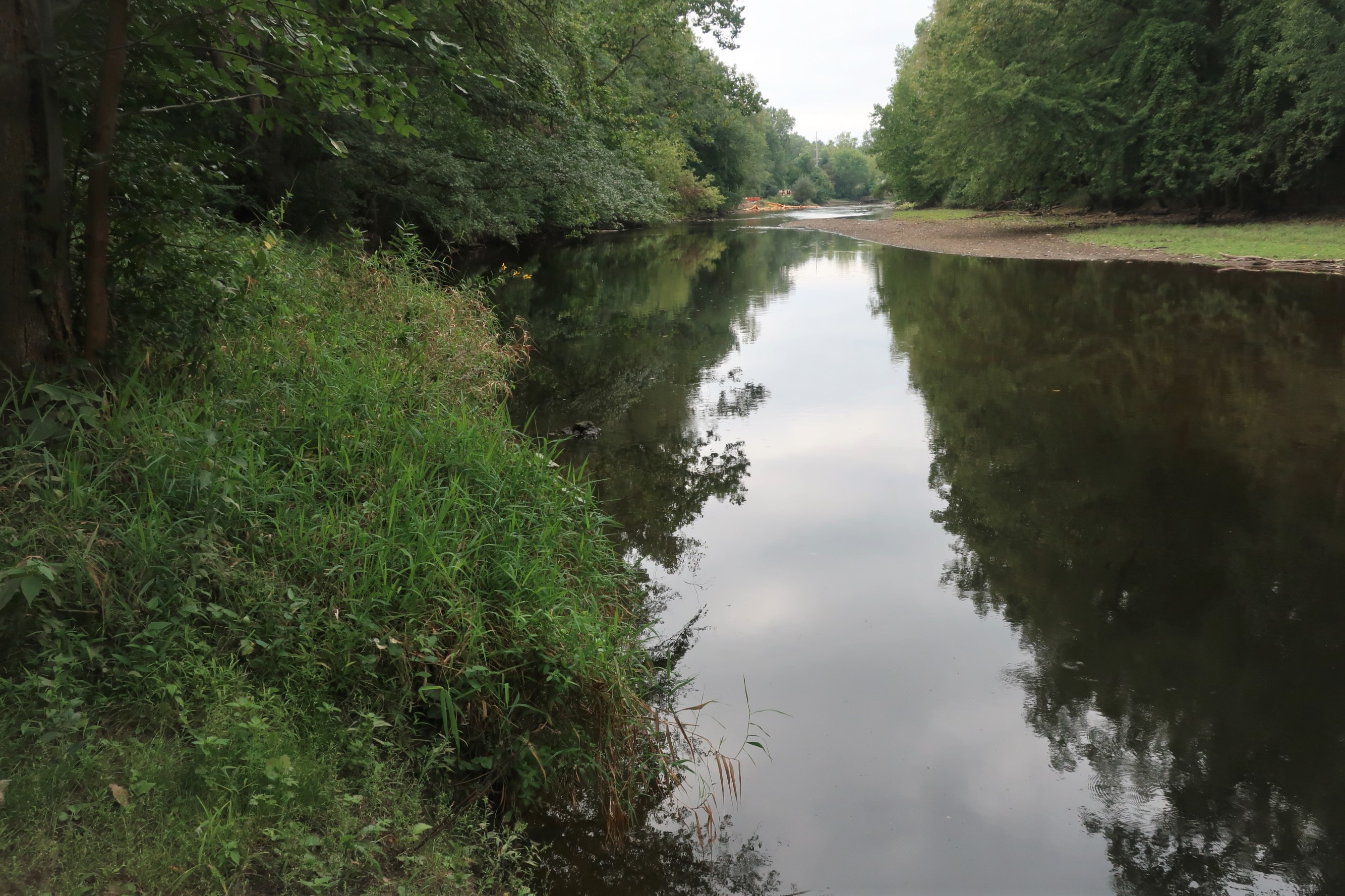 Calm river flanked by dense green trees with reflections on the water surface.