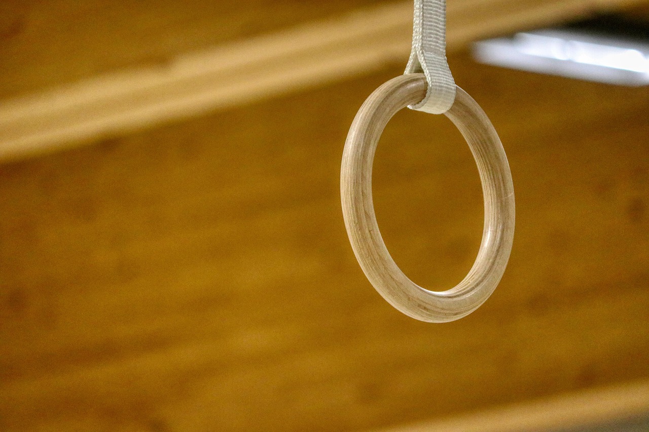 Ring, do gymnastics, sports, athletes, fitness, olympia, sports equipment, gymnastic rings, gymnastic rings, gymnastic r