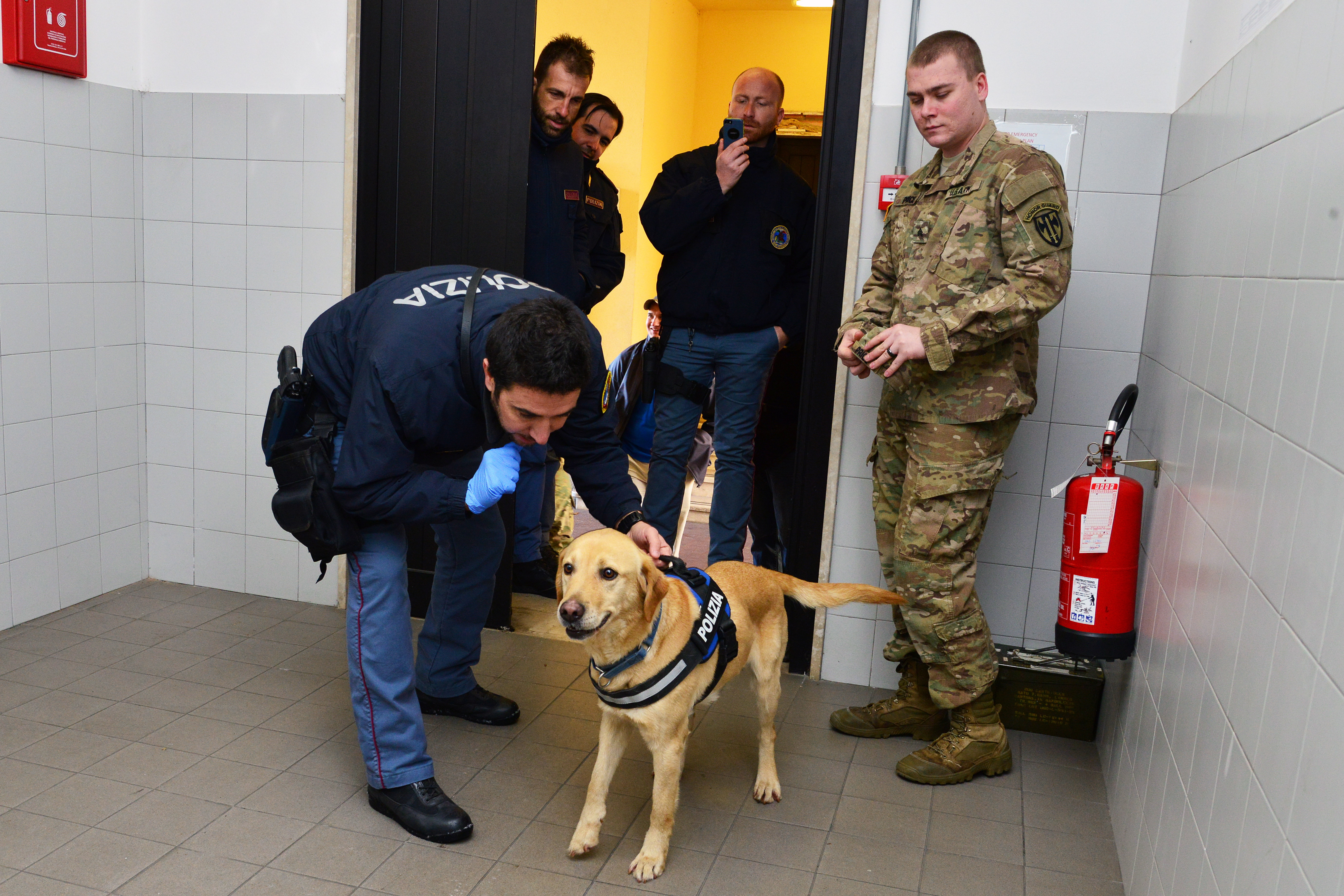 A yellow Labrador wearing a K9 vest stands with a uniformed officer indoors.