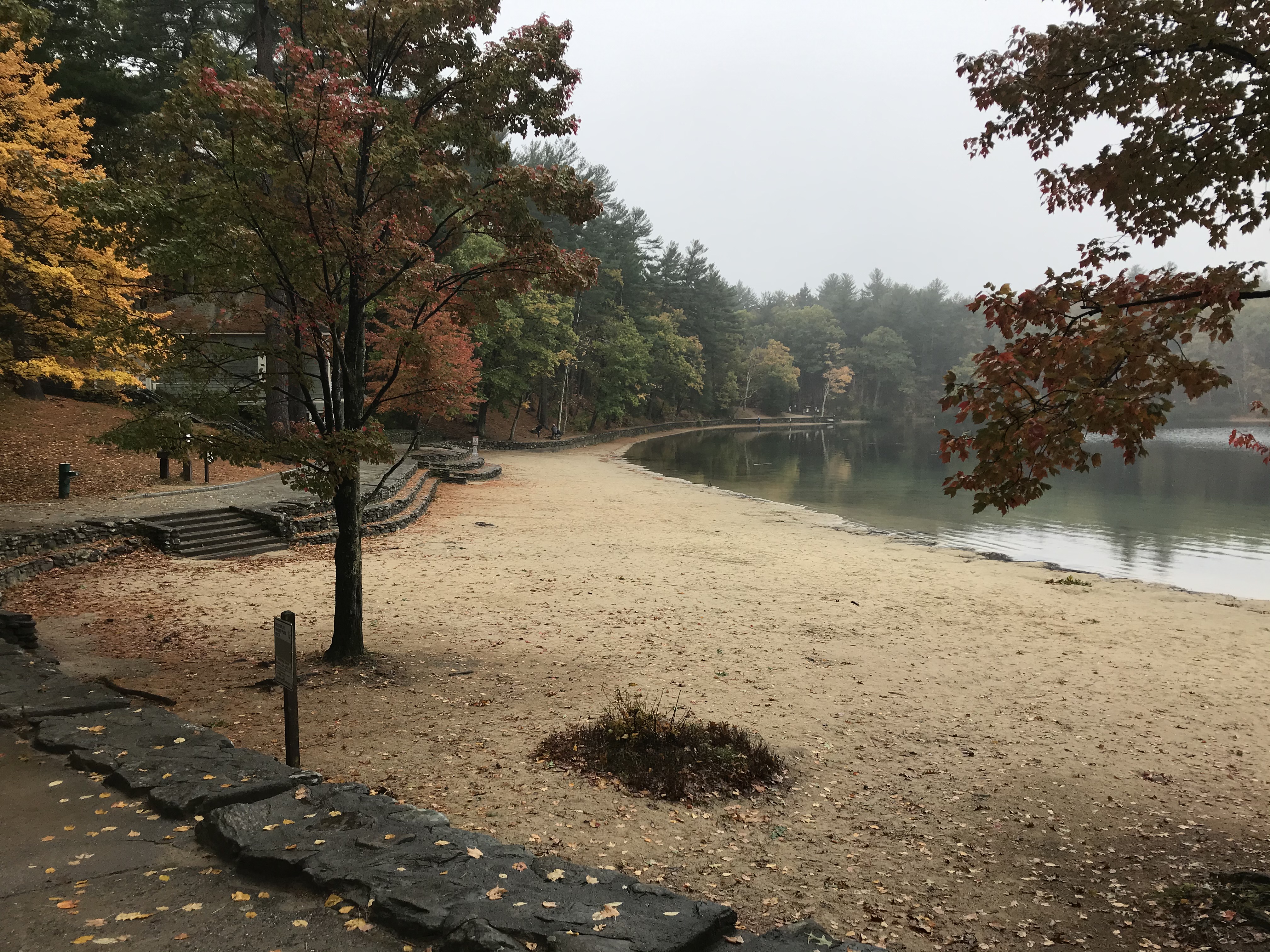 Sandy beach at Walden Pond in autumn with fall-colored trees and calm water.