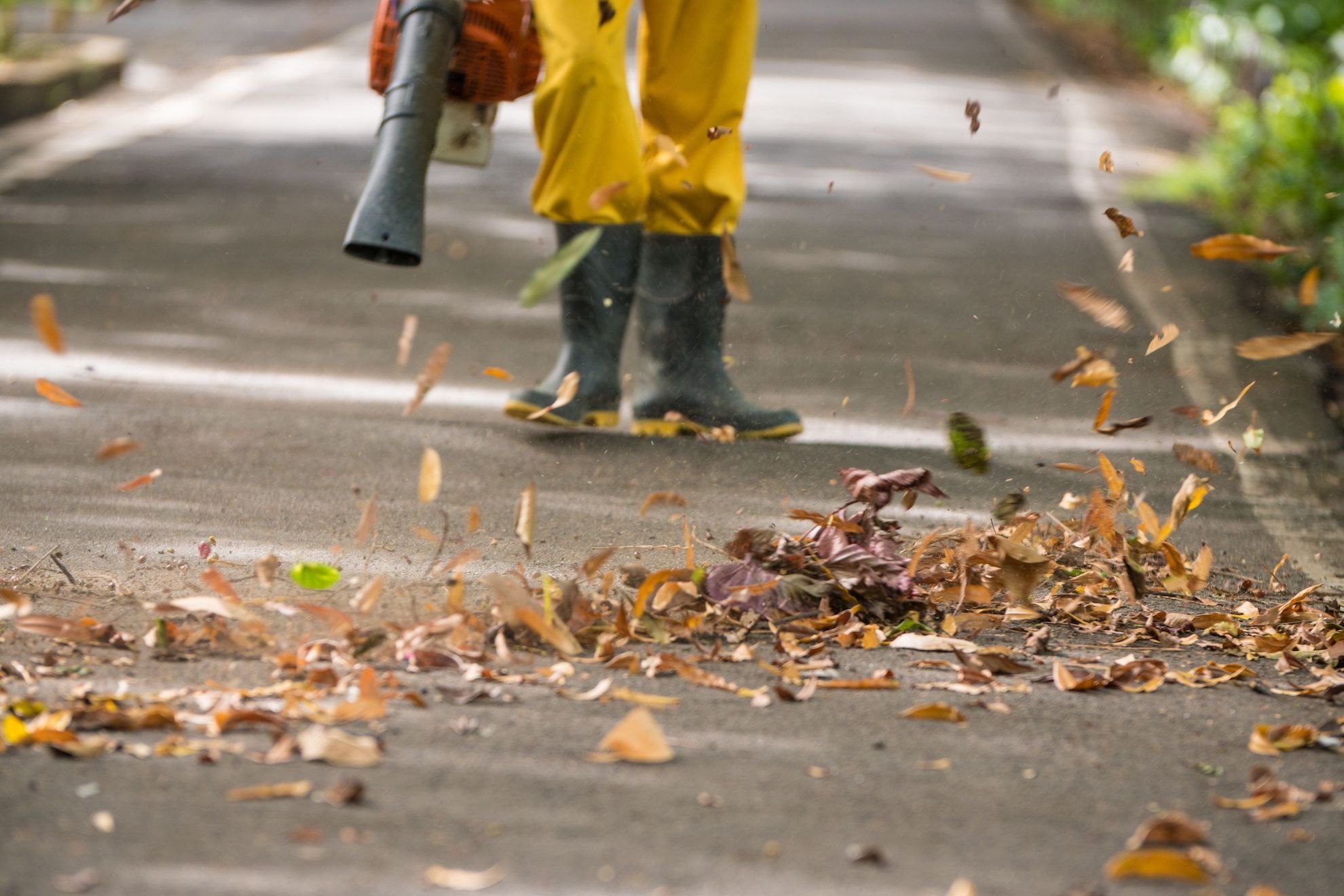 Person in yellow jacket using an orange gas-powered leaf blower to clear dried leaves from pavement.