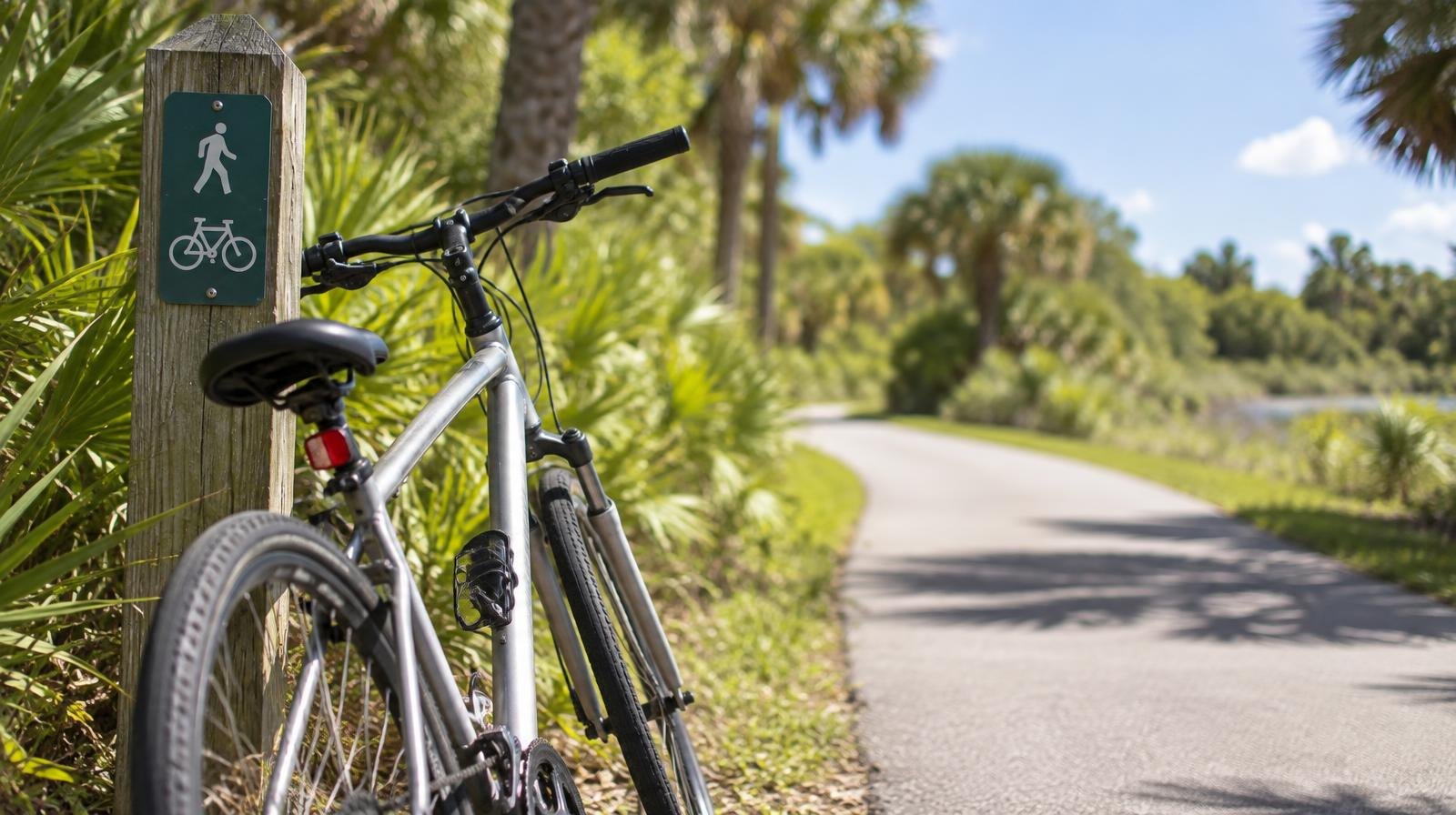 A paved trail curves through palm trees and green vegetation in bright sunlight.