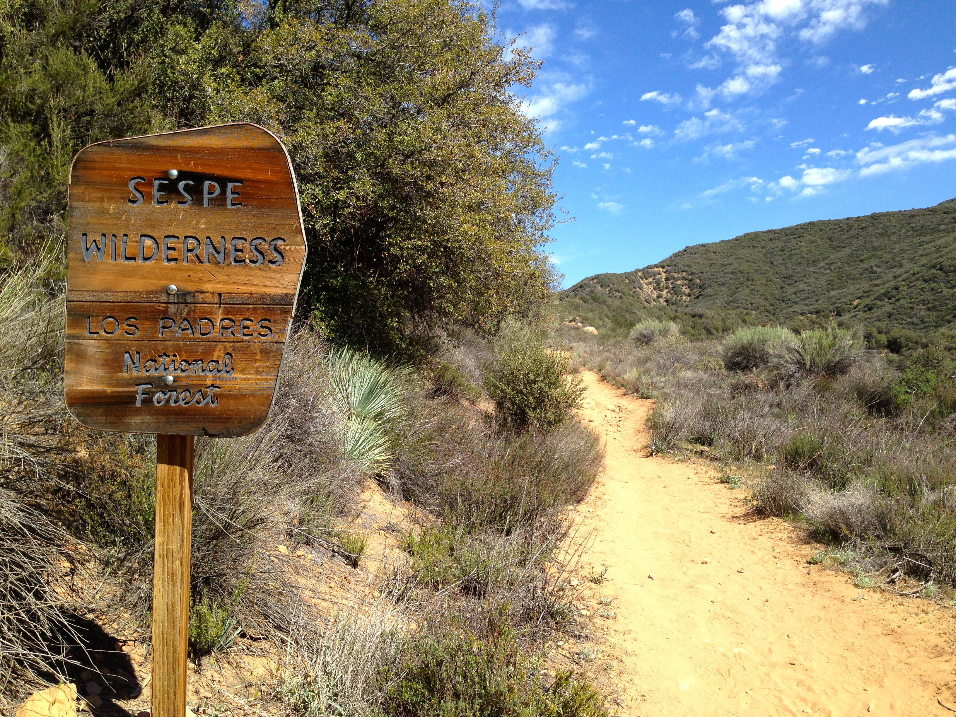Wooden wilderness sign beside a dirt trail with dry shrubs and blue sky.