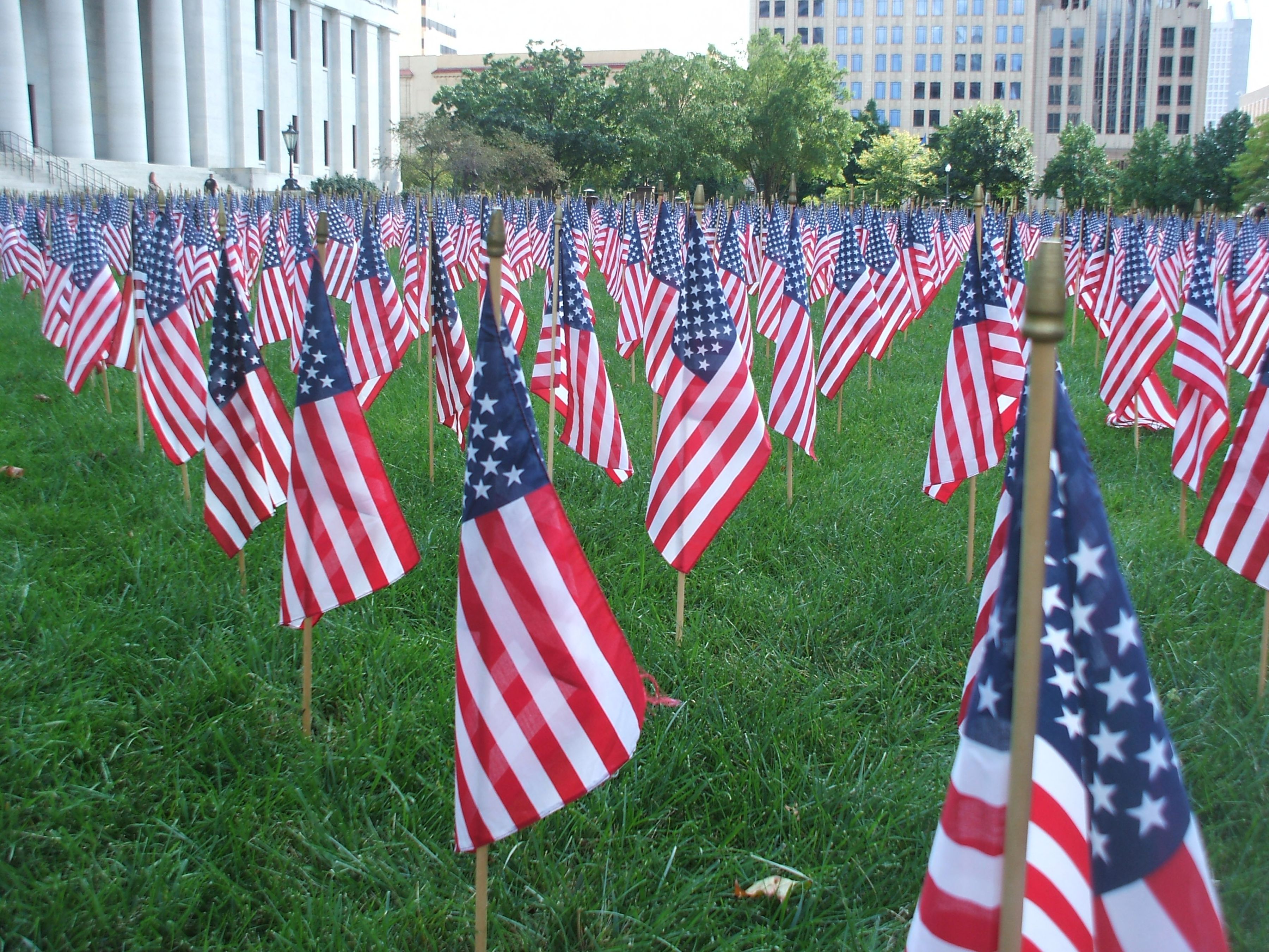 Hundreds of small American flags planted in neat rows across a grassy lawn.
