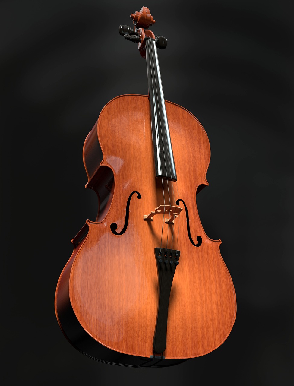 Cello, violoncello, strings, string instrument, wood, instrument, classical music, musical instrument, classic, acoustic