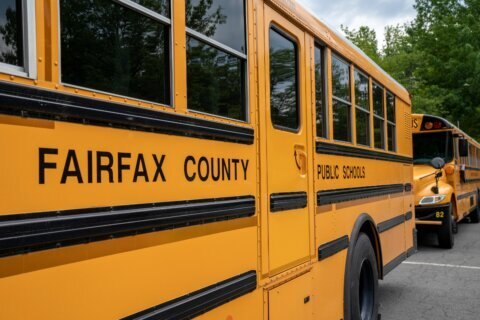 A yellow Fairfax County Public Schools bus parked among green foliage.