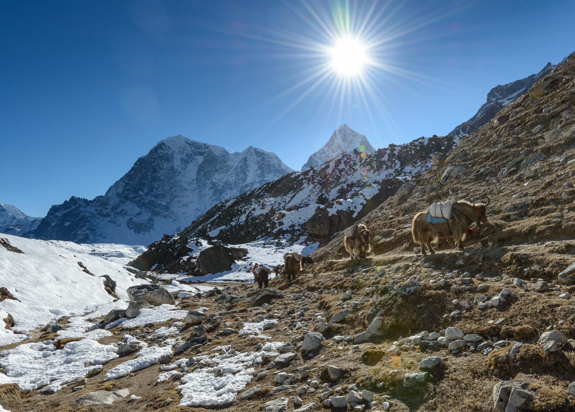 Yaks and handlers on a rocky, snow-dusted Himalayan trail beneath towering snow-capped peaks.