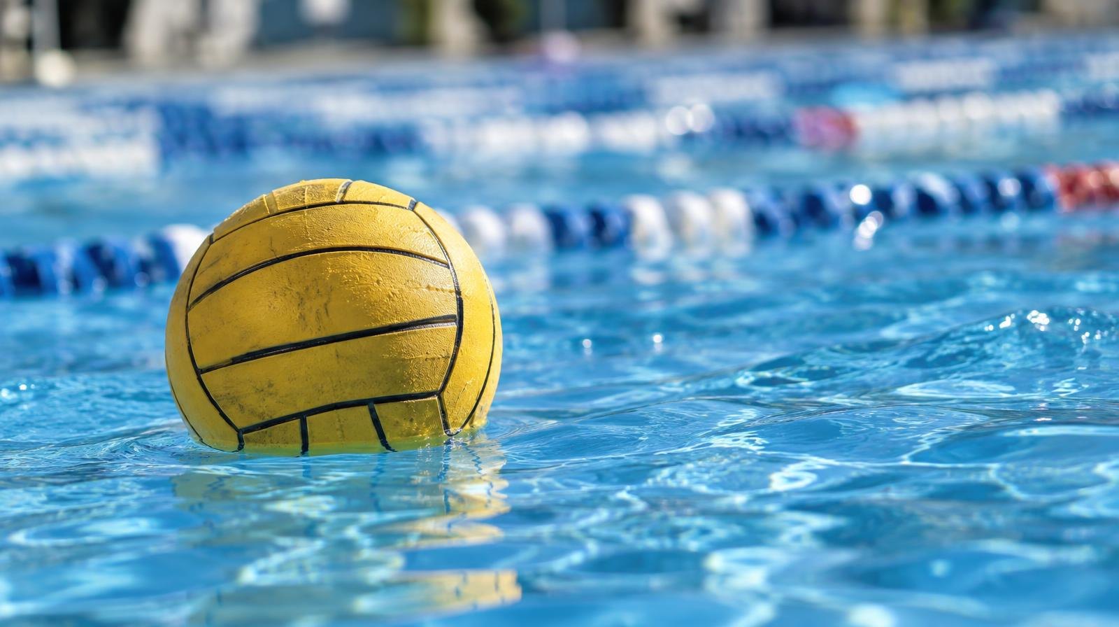 A water polo ball floating on the surface of a bright blue swimming pool.