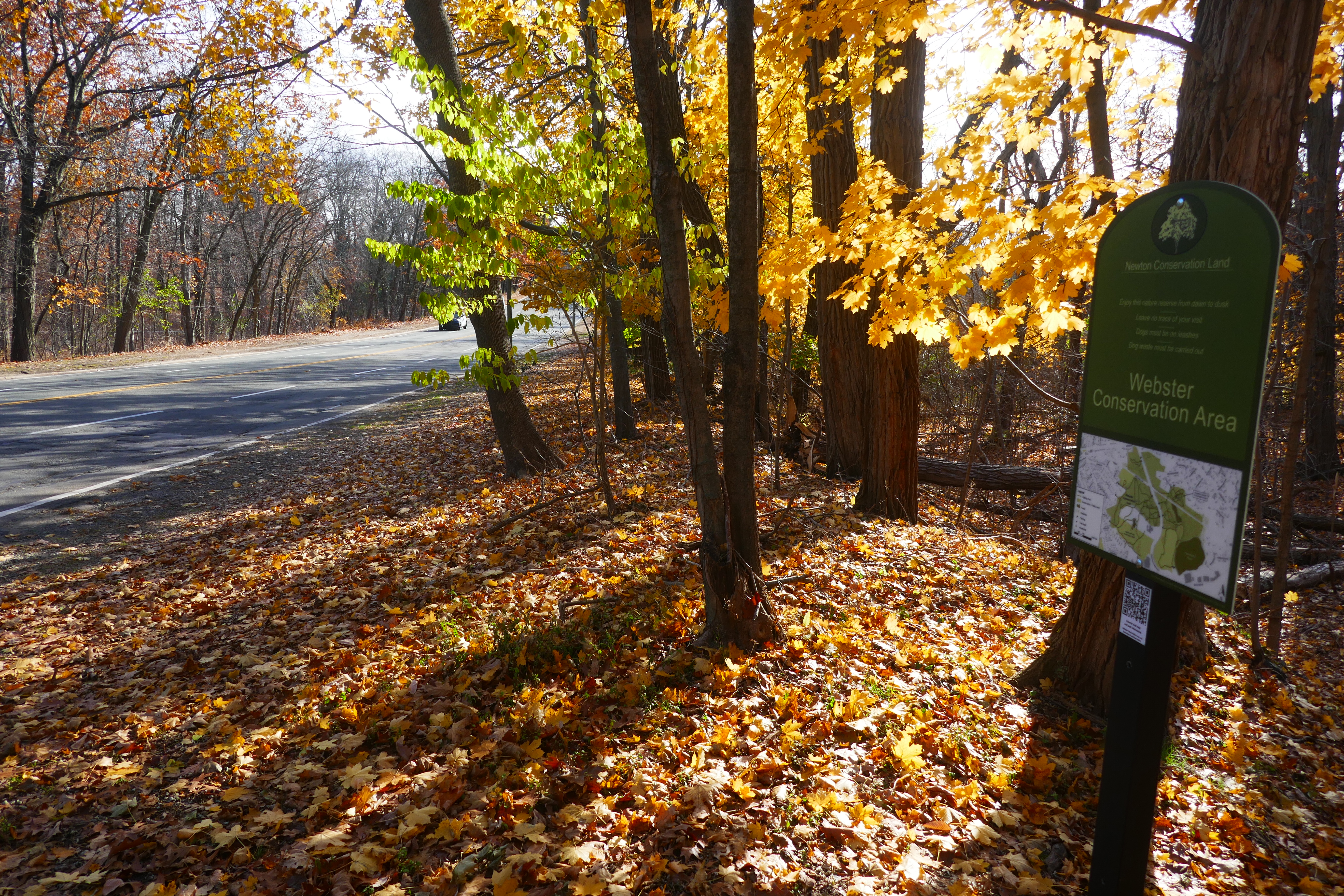 Green sign marking Webster Conservation Area among autumn-colored trees beside a parkway.