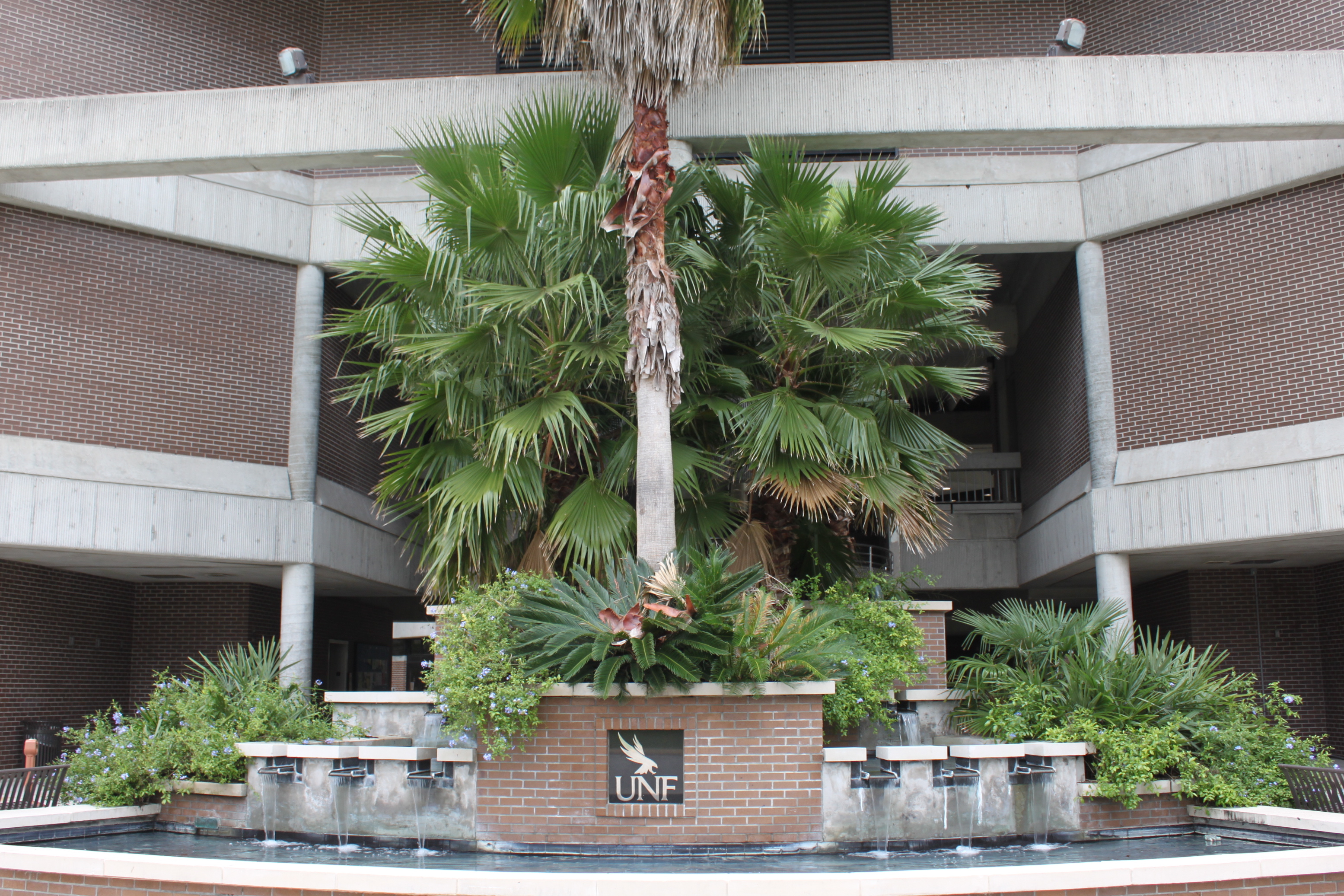 Fountain with UNF sign in front of a multi-story campus building with palm trees.