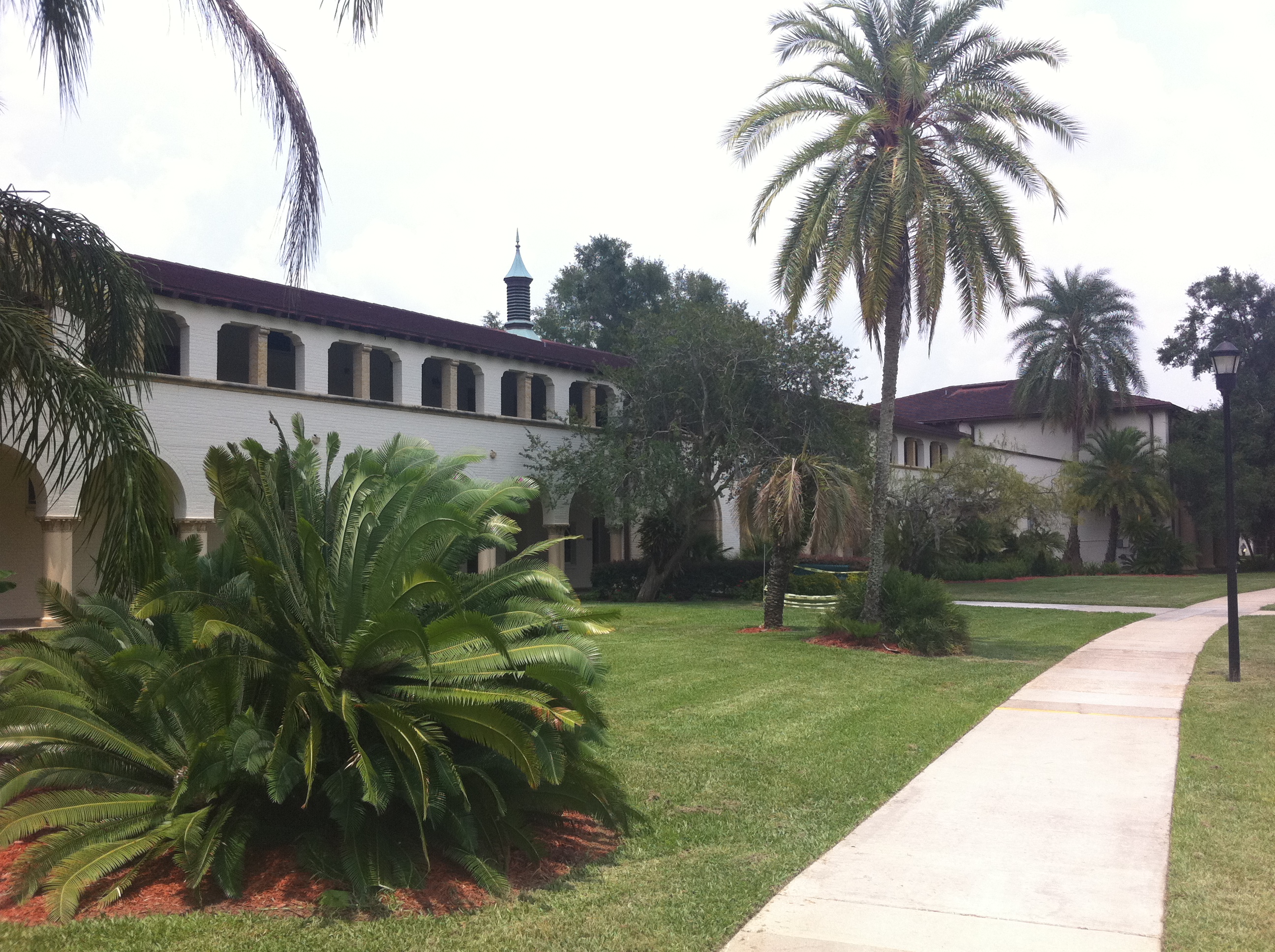 Ground-level view of campus buildings and walkways at Saint Leo University on a clear day.
