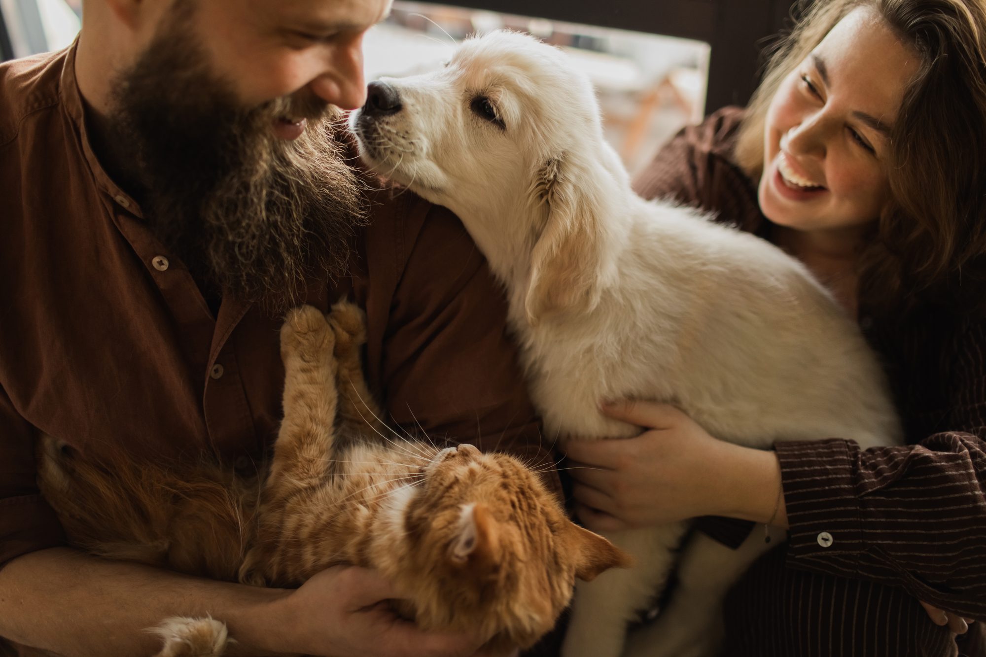 Happy Couple With Puppy And Cat Cuddling Indoors, Loving Family Moments At Home