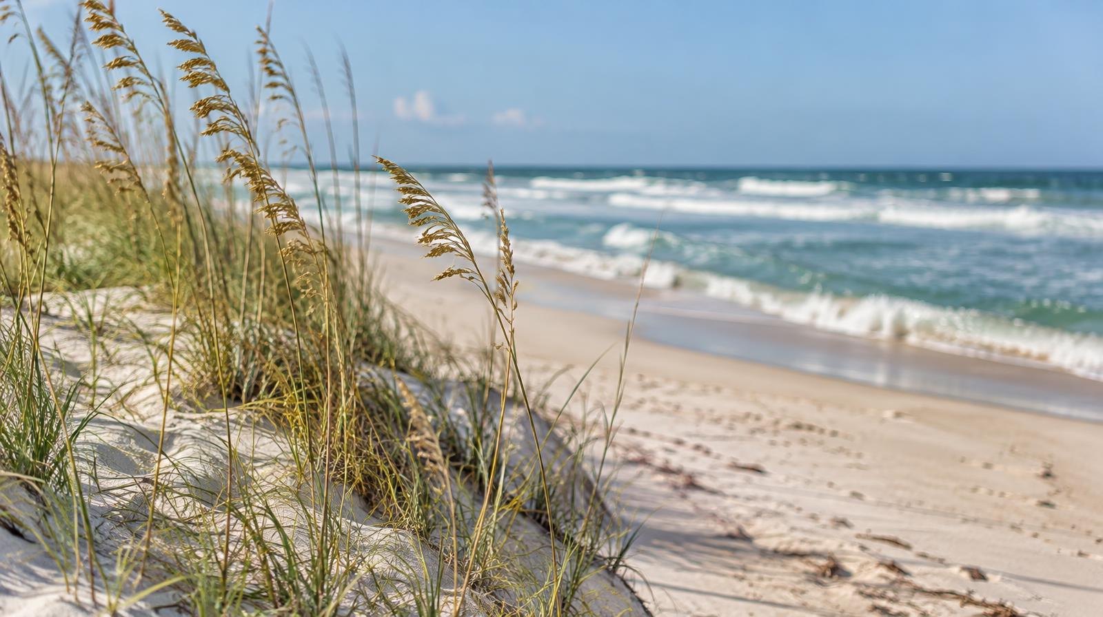 Wide sandy beach with gentle waves and a dune line of sea oats.