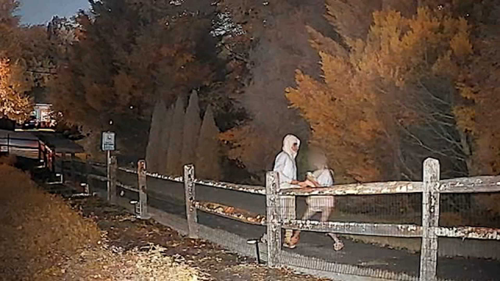 Night-vision image of two people near a wooden split-rail fence on a wooded trail.