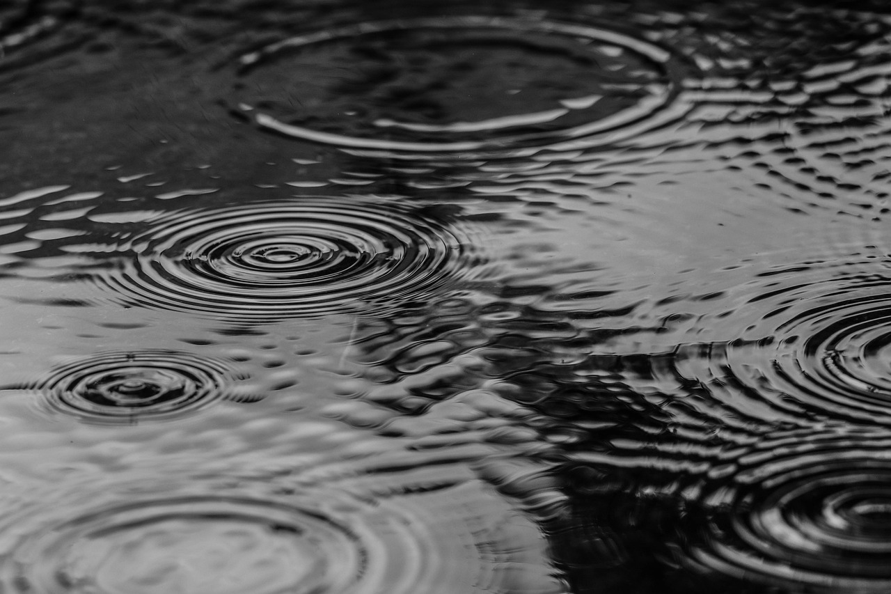 Puddle, water, rain, nature, splash, monochrome