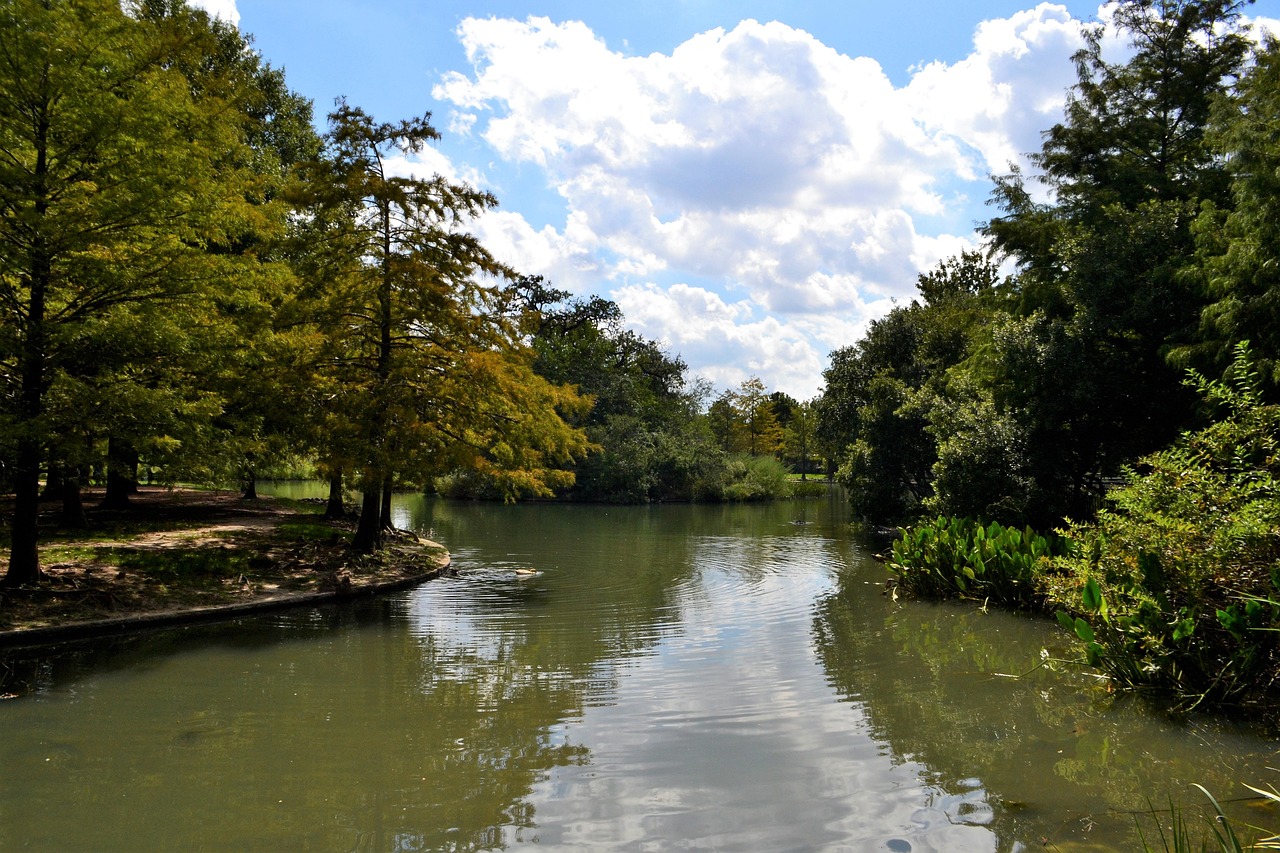 River, lake, cloudy, sky, national park, houston, texas, scene, water, nature, summer, travel, landscape, forest, tree,