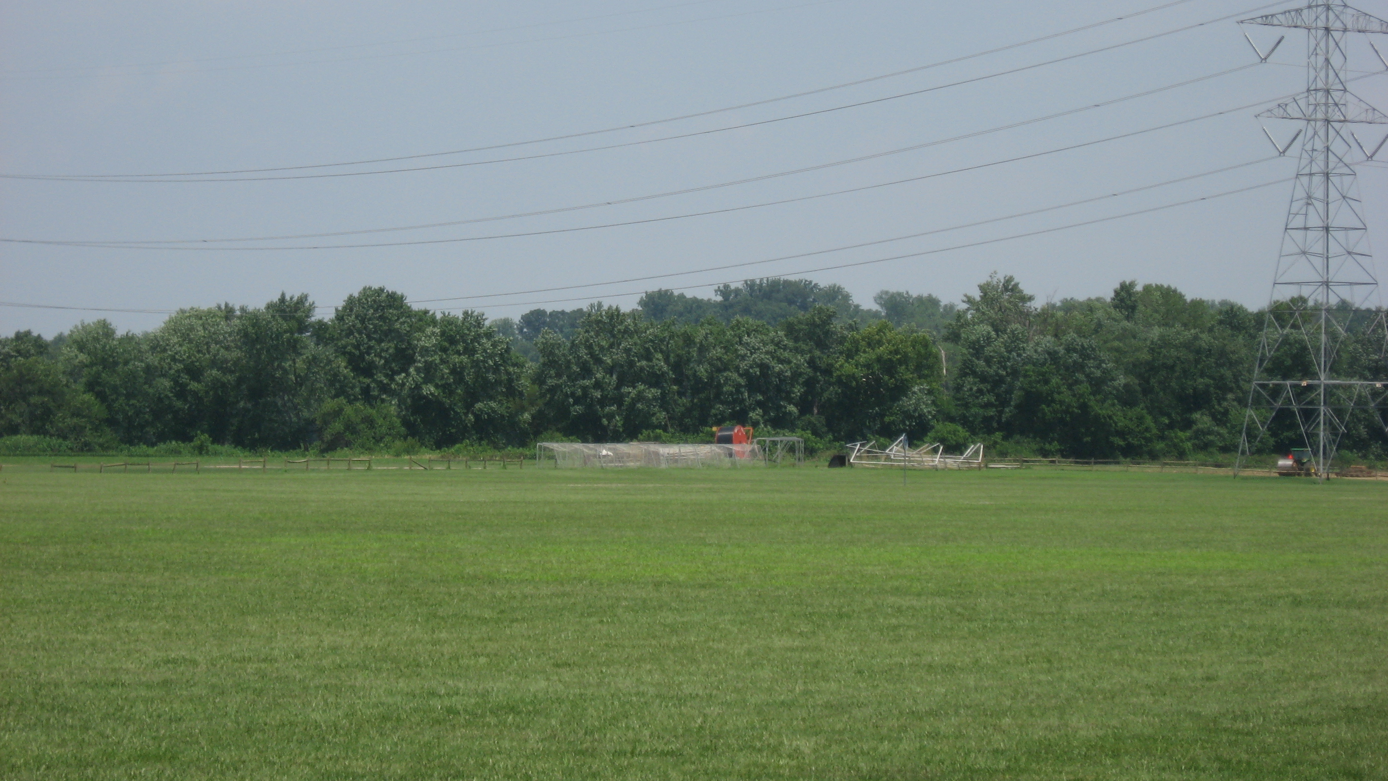 Wide grassy field at a park with a transmission tower and tree line in the background.
