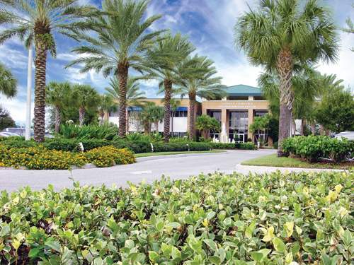 Modern college building entrance flanked by tall palm trees and manicured landscaping.