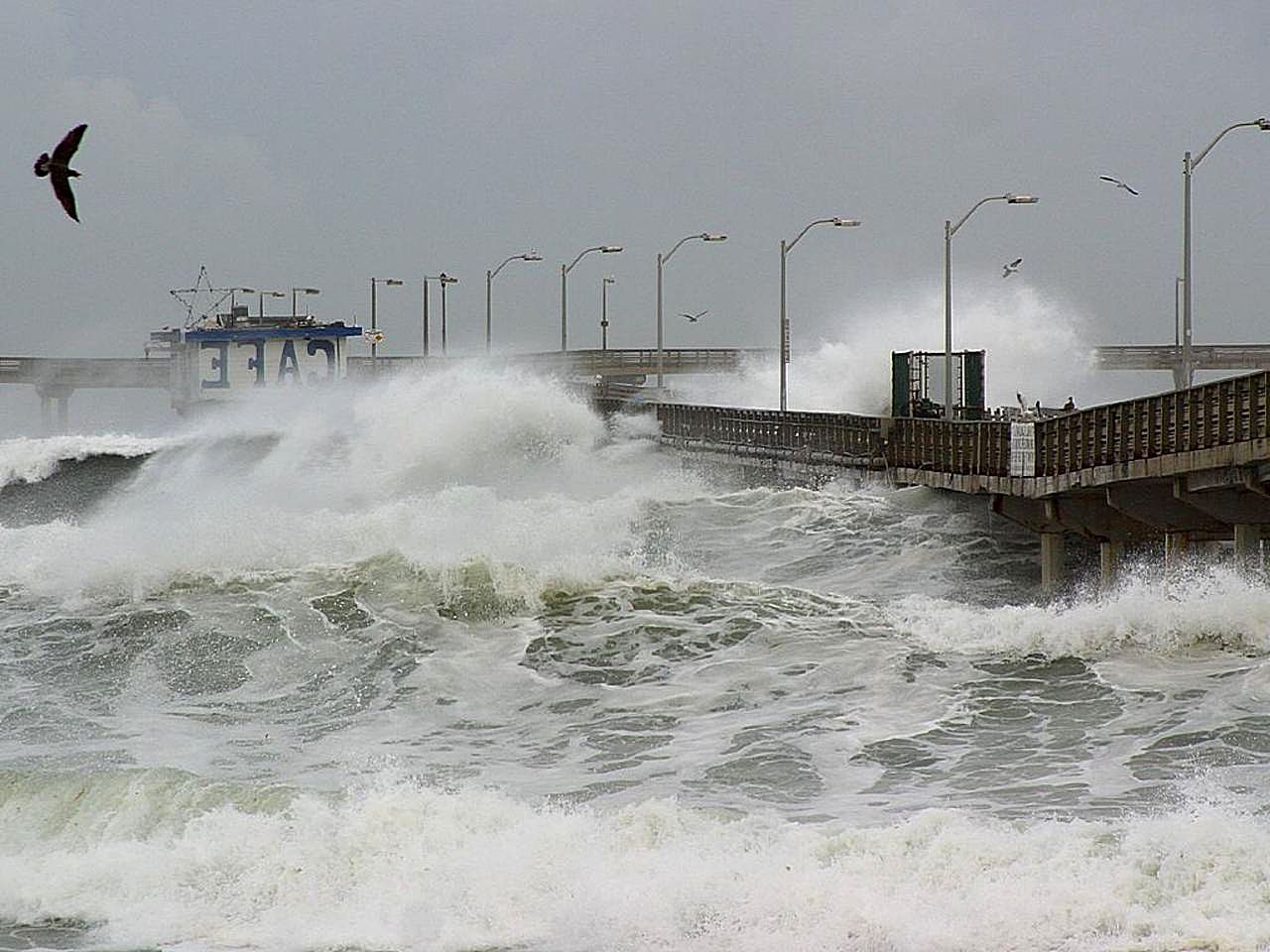 Image title: El nino waves
Image from Public domain images website, http://www.public-domain-image.com/full-image/nature-landscapes-public-domain-images-pictures/waves-public-domain-images-pictures/el-nino-waves.jpg.html